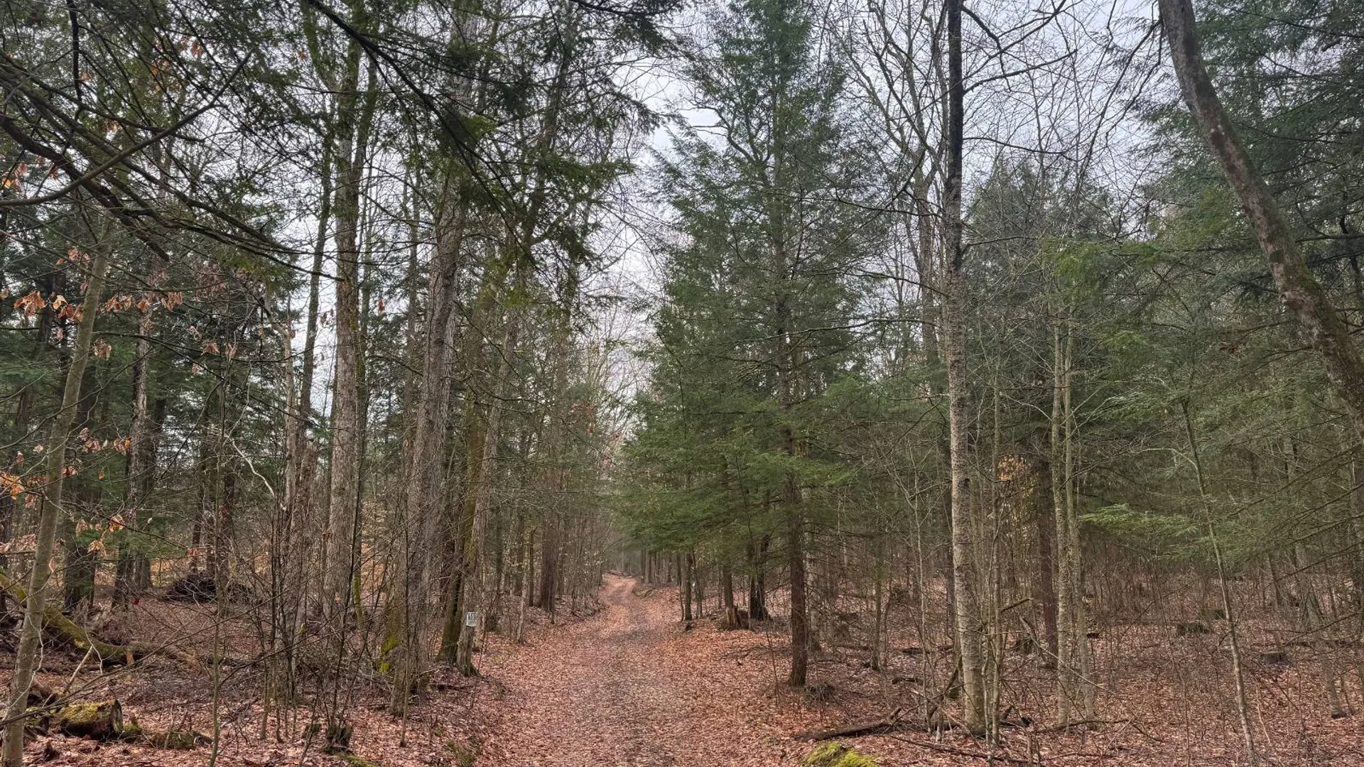 Property at 3650 State Route 69, Blossvale, NY 13471 20