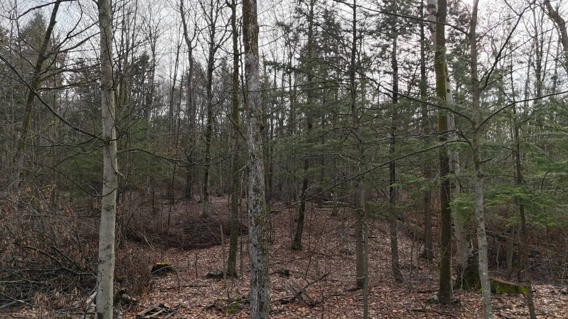 Property at 3650 State Route 69, Blossvale, NY 13471 24