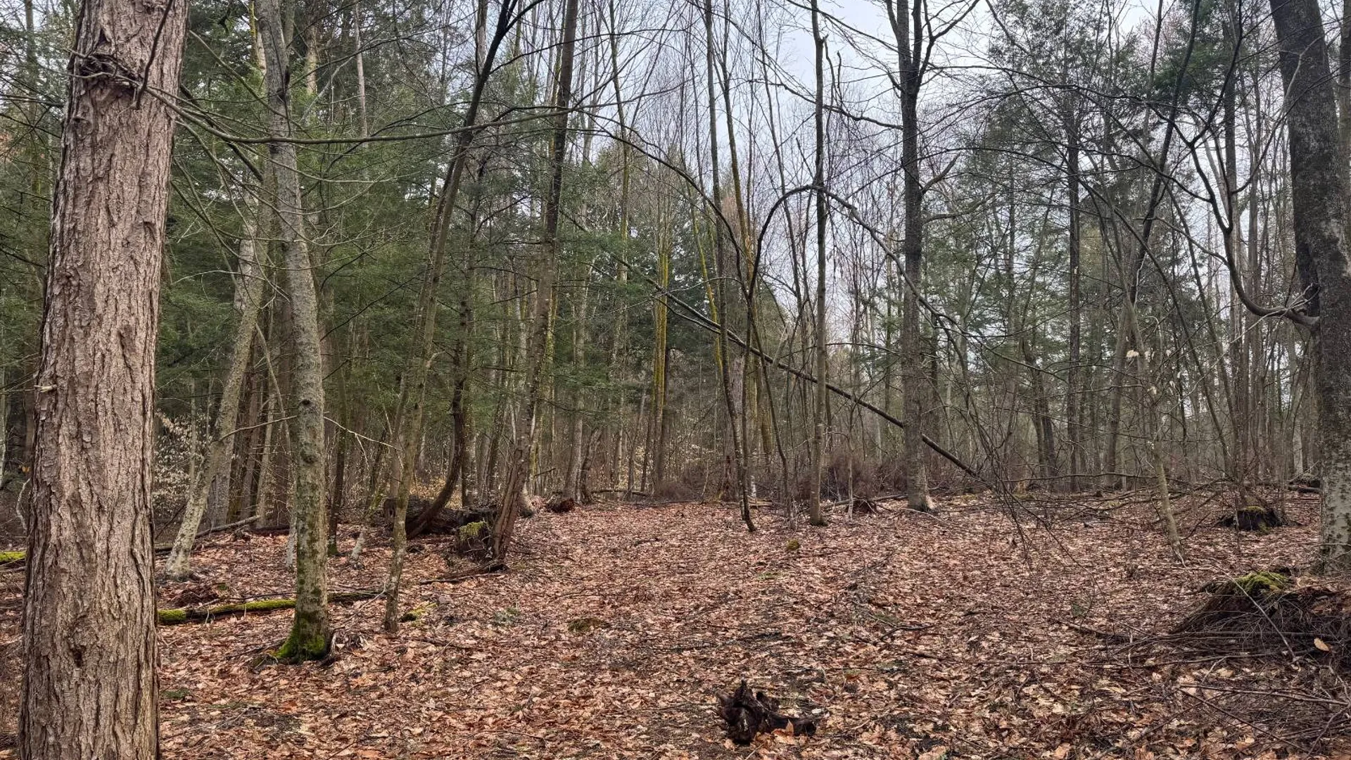 Property at 3650 State Route 69, Blossvale, NY 13471 27