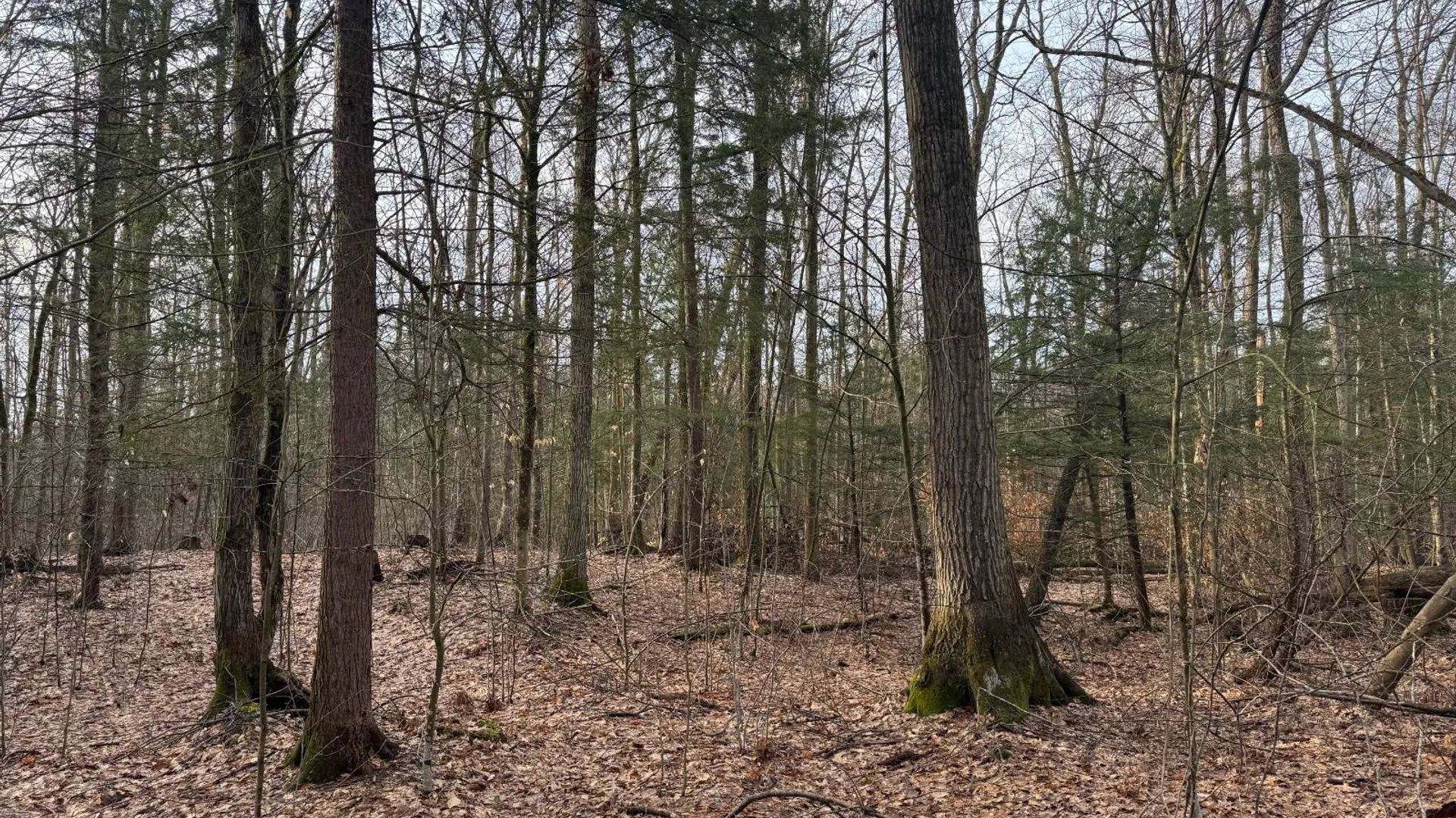 Property at 3650 State Route 69, Blossvale, NY 13471 28