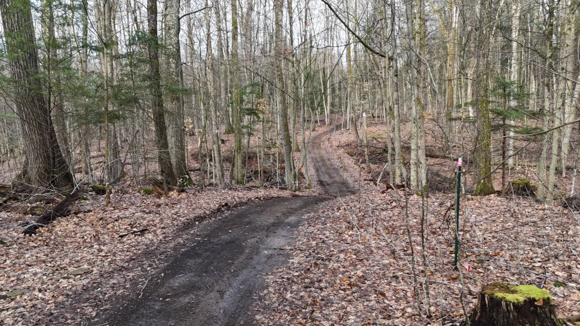 Property at 3650 State Route 69, Blossvale, NY 13471 6