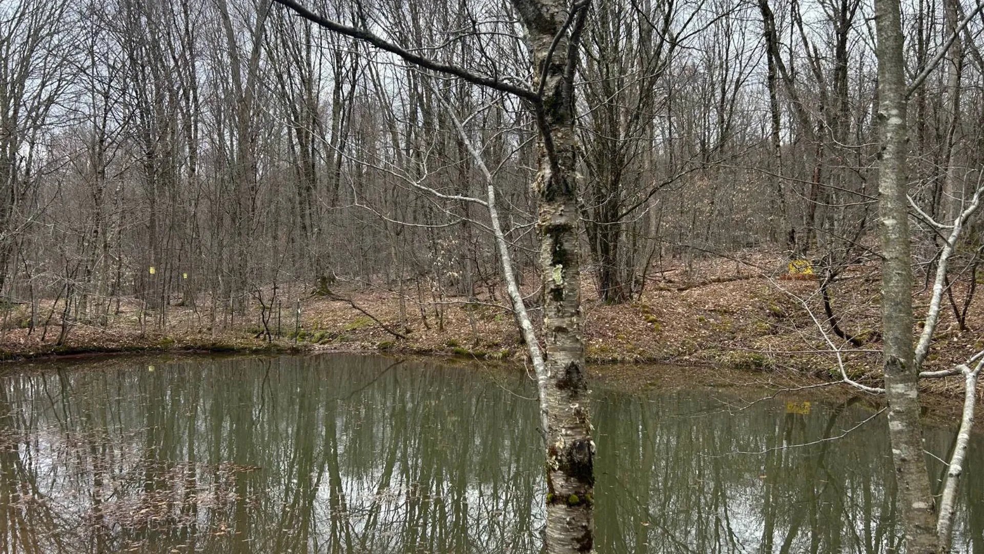 Property at 184 Dancing st, Kortright, NY 13739 24