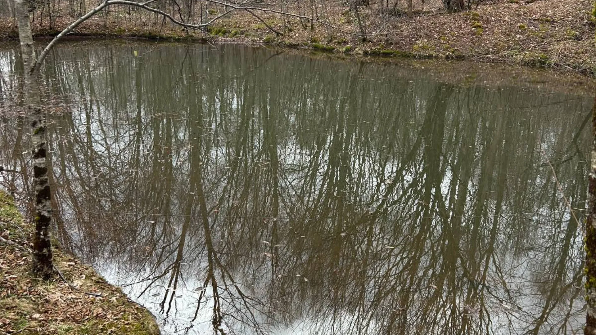 Property at 184 Dancing st, Kortright, NY 13739 25