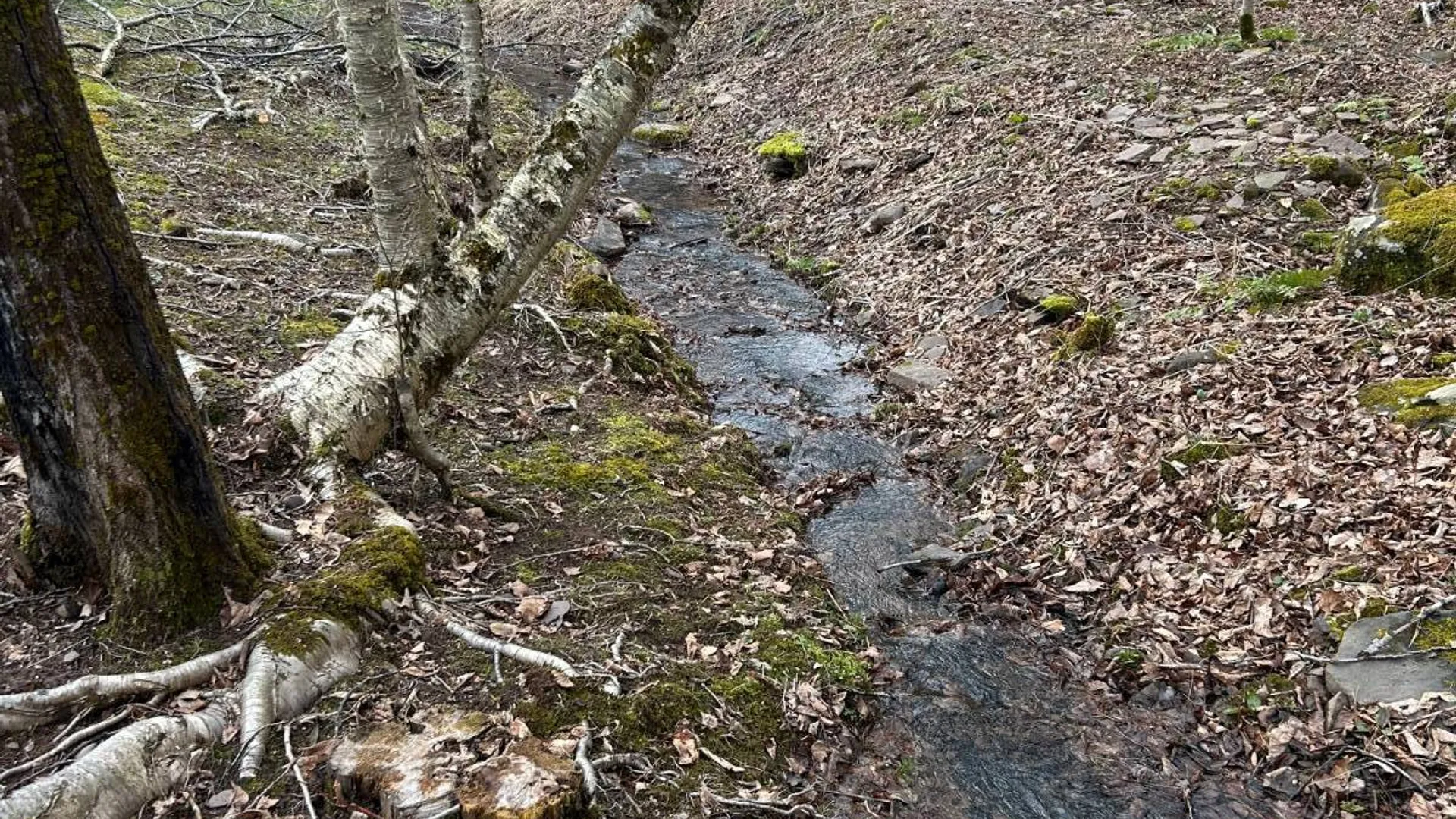 Property at 184 Dancing st, Kortright, NY 13739 27