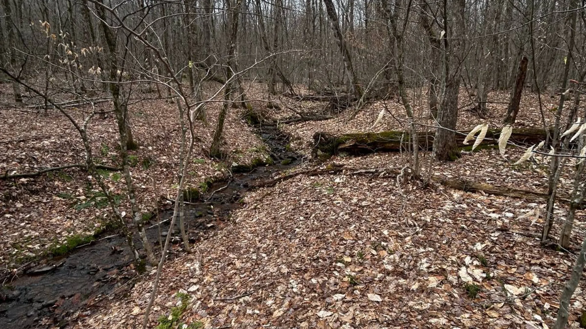 Property at 184 Dancing st, Kortright, NY 13739 33