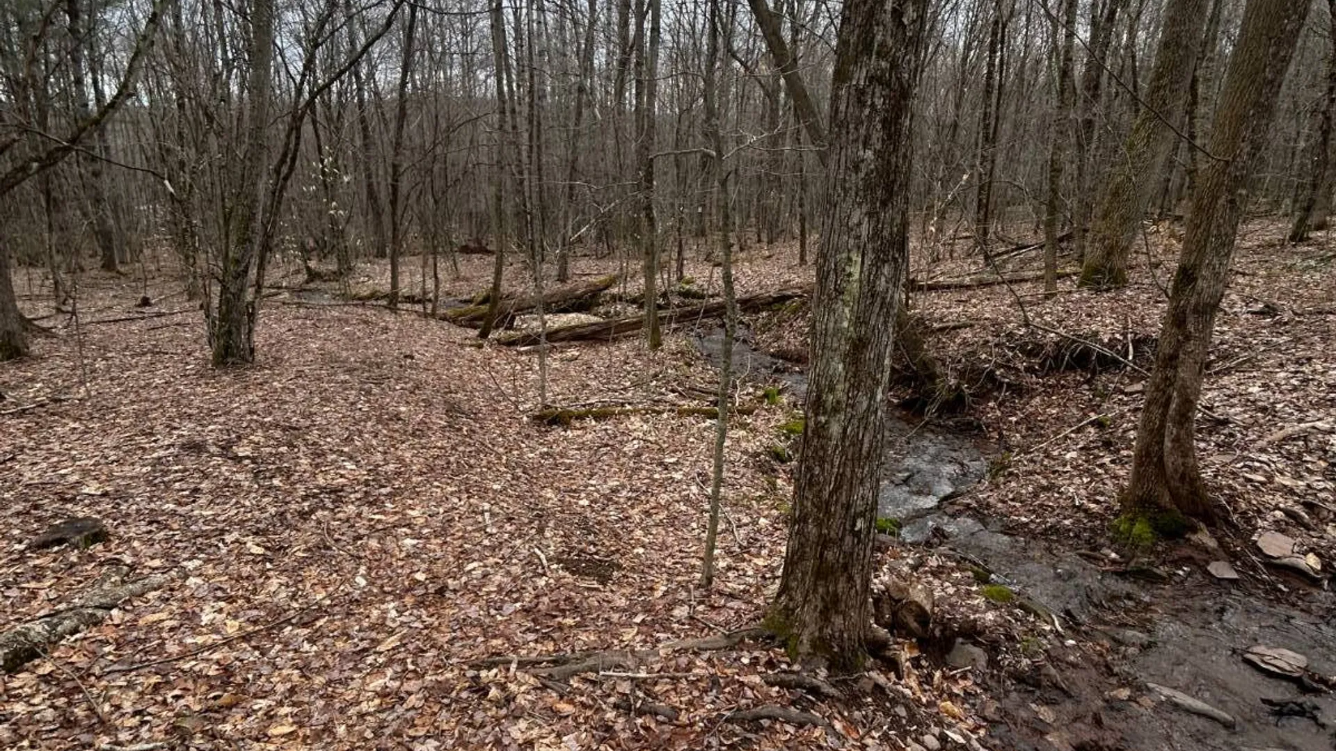 Property at 184 Dancing st, Kortright, NY 13739 34