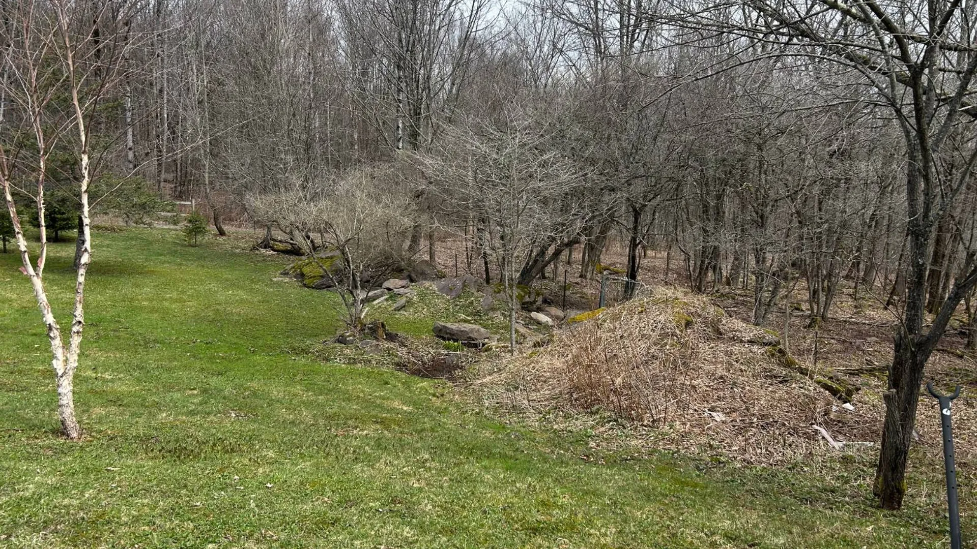 Property at 184 Dancing st, Kortright, NY 13739 40