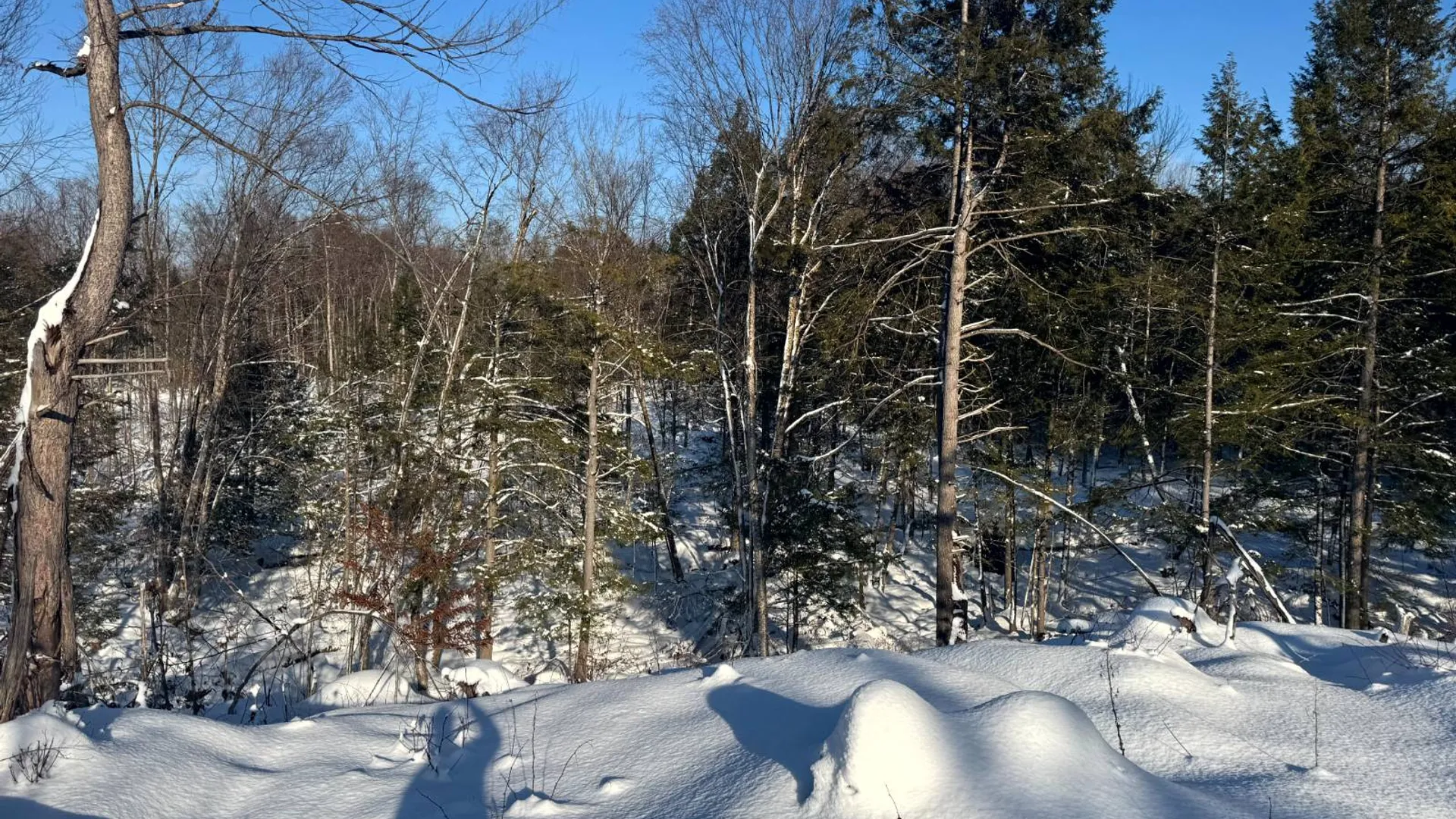 Property at 1.8 Rowell Rd, Camden, NY, NY 13316 3