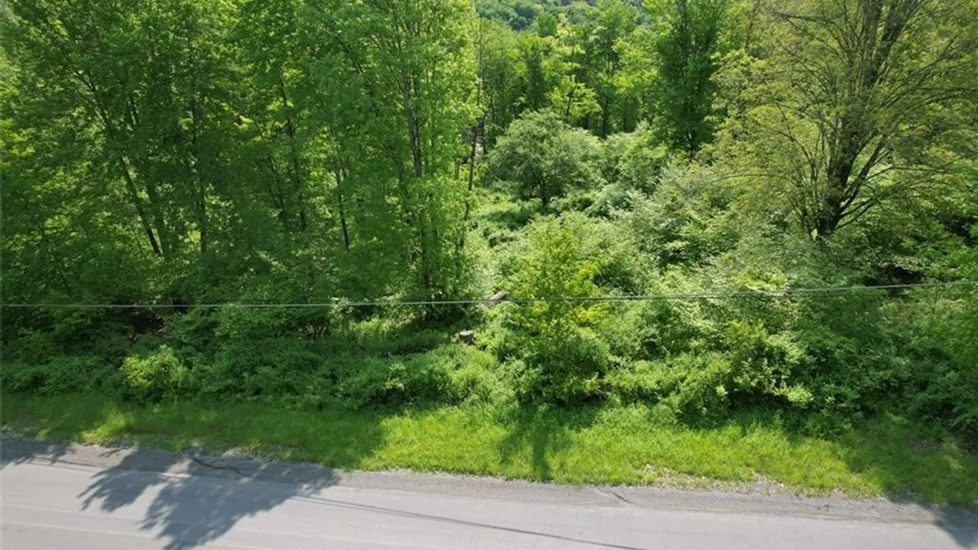 Property at 0 Cemetery Hill Road, Oneonta, NY 13820 4