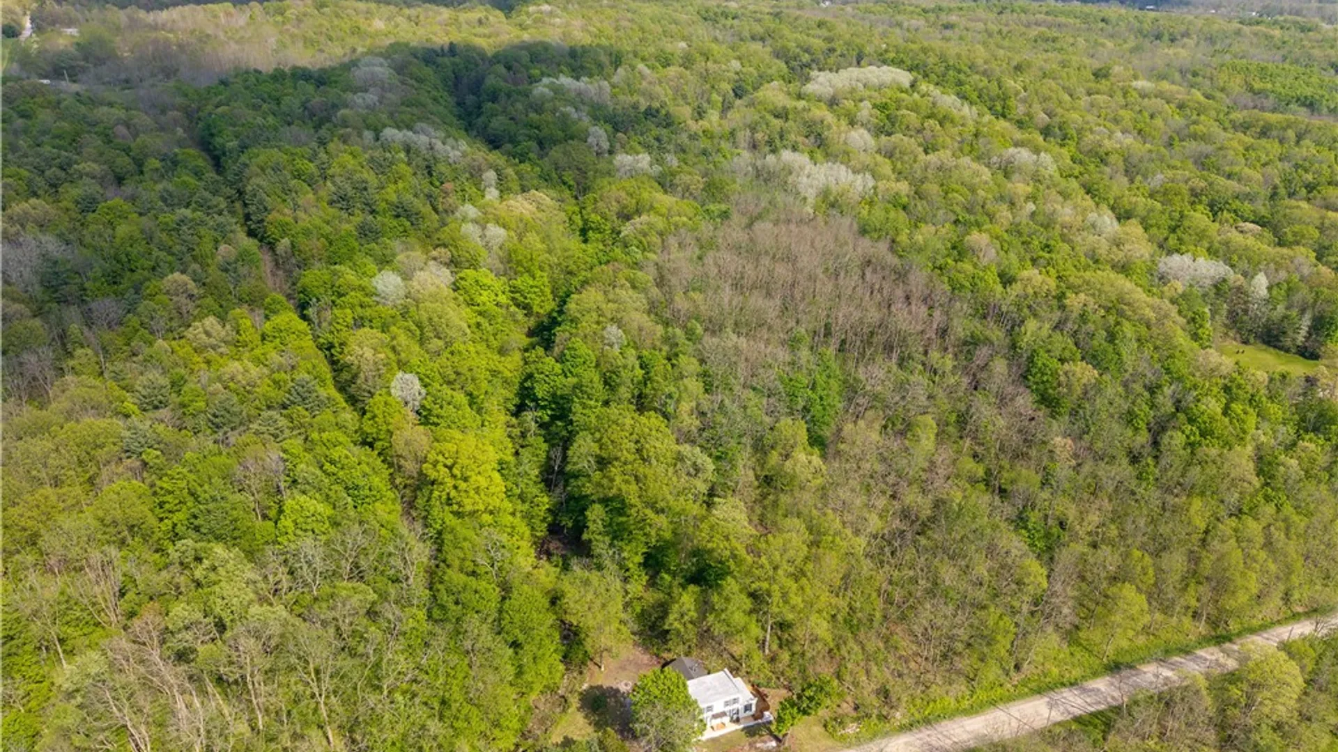 Property at 6929 E Swamp Road, Conesus, NY 14435 5