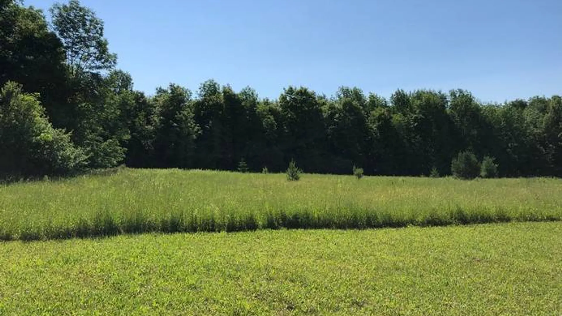 Property at 204 Valley View Road, Smyrna, NY 13464 5