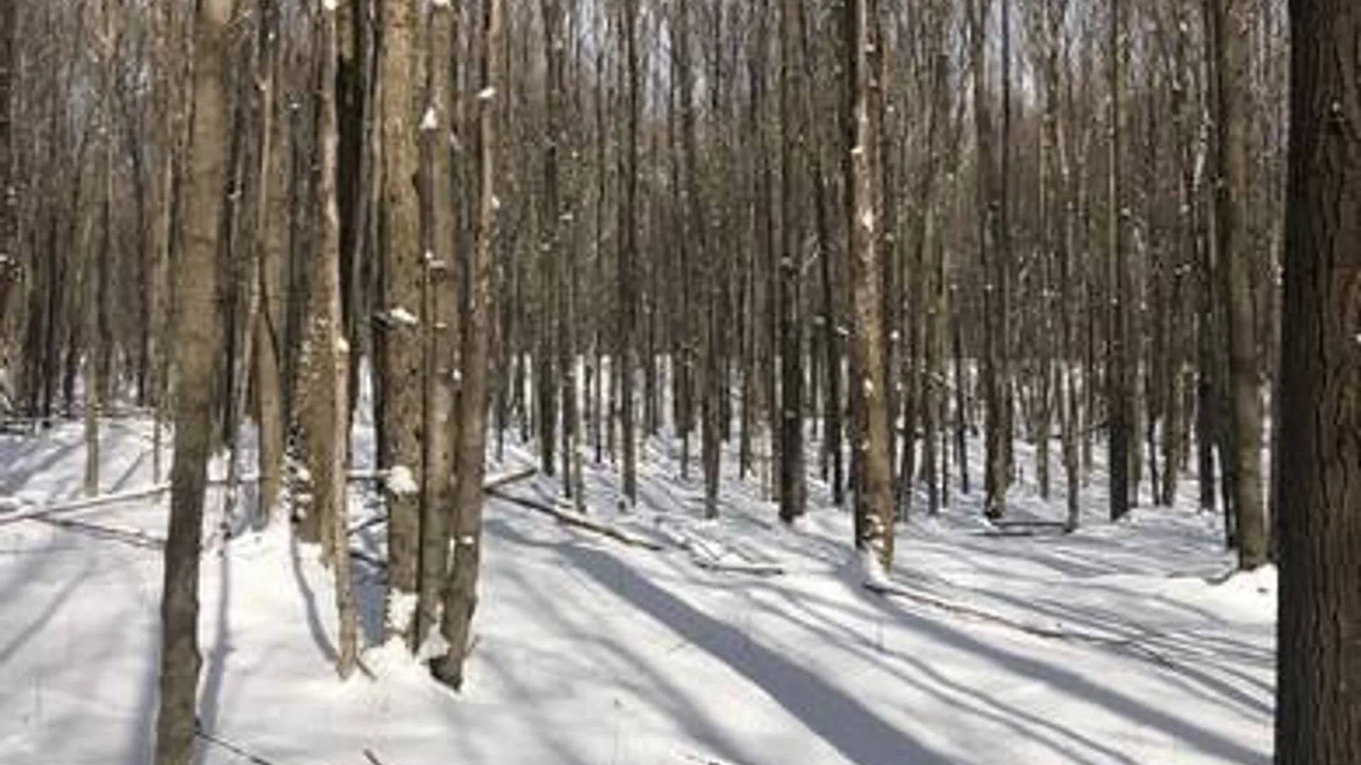 Property at 204 Valley View Road, Smyrna, NY 13464 6