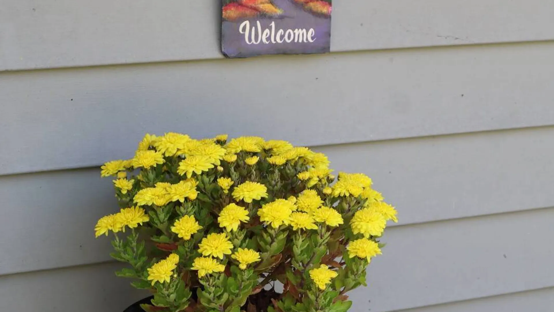 Property at 92 Whichtree Road, Woodstock, NY 12498 15