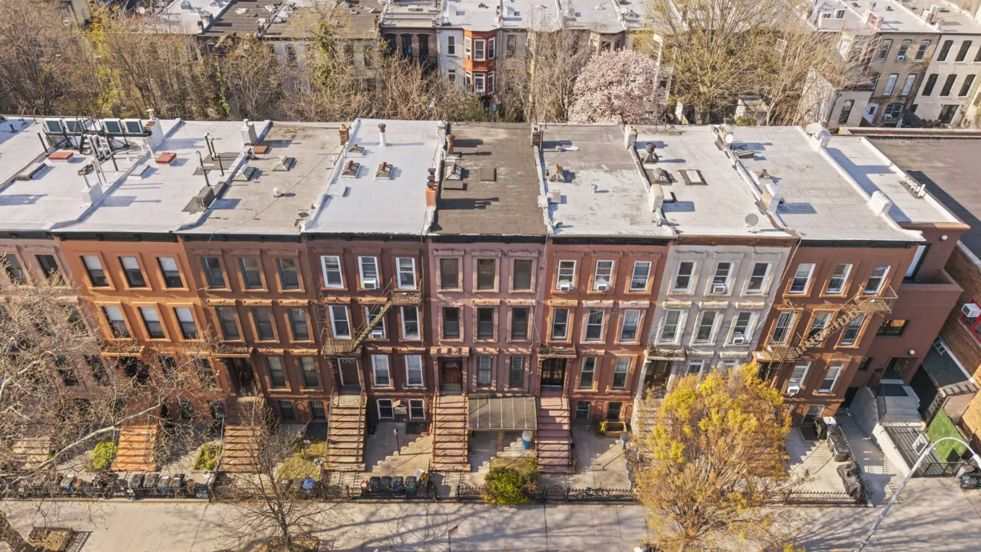 Property at 487 Hancock Street, New York, NY 11233 36