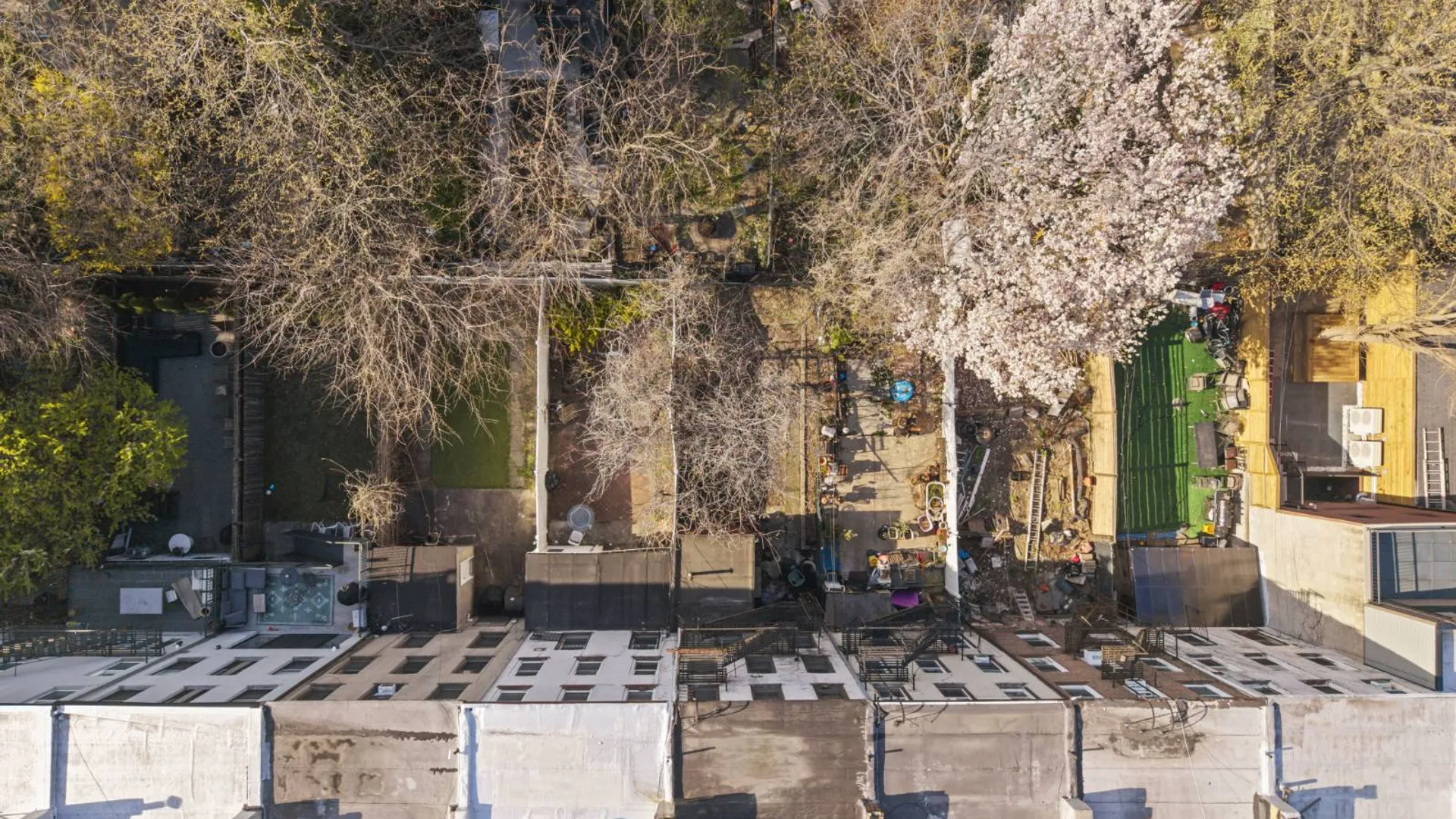 Property at 487 Hancock Street, New York, NY 11233 37