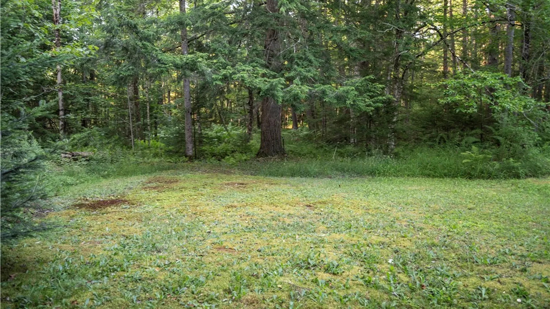 Property at 4044 Norton Road, Forestport, NY 13338 12