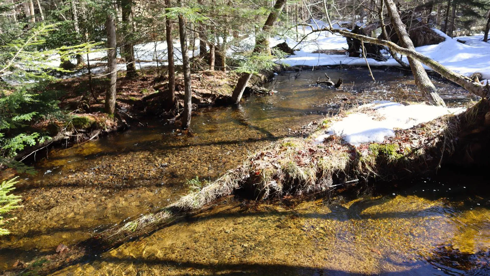 Property at 0 Bear Pond Rd, Thurman, NY 12810 10