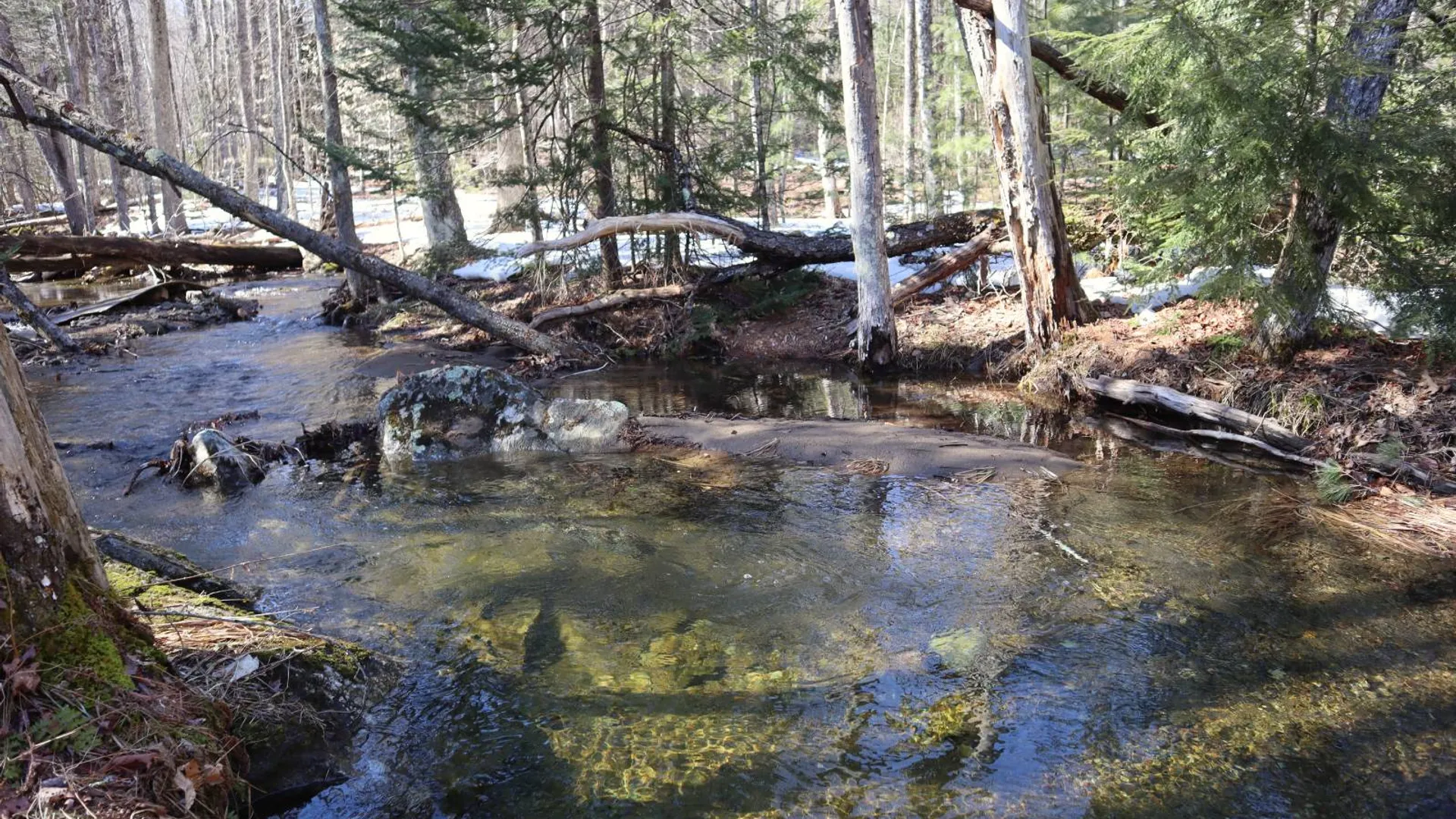 Property at 0 Bear Pond Rd, Thurman, NY 12810 11