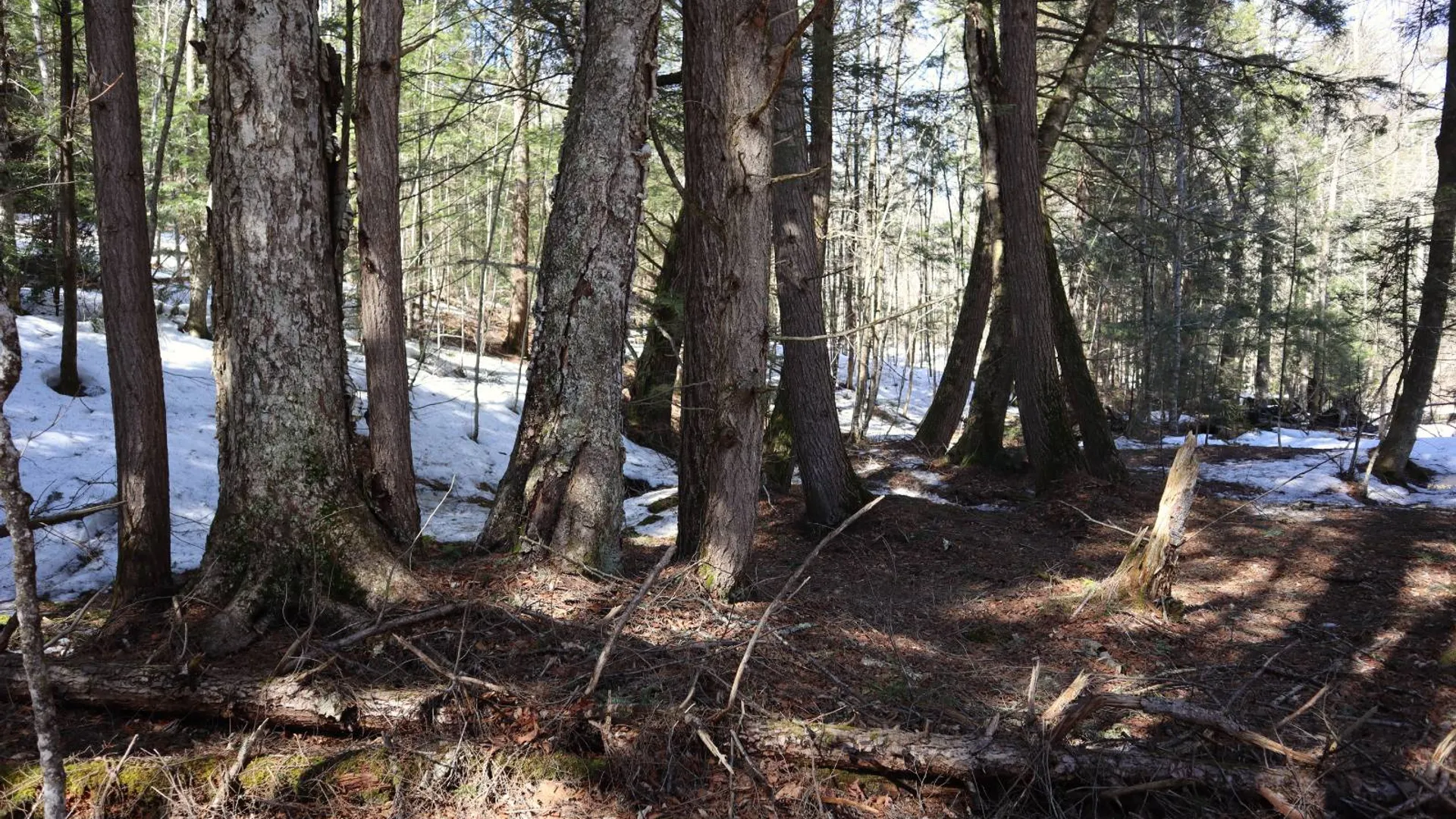 Property at 0 Bear Pond Rd, Thurman, NY 12810 12