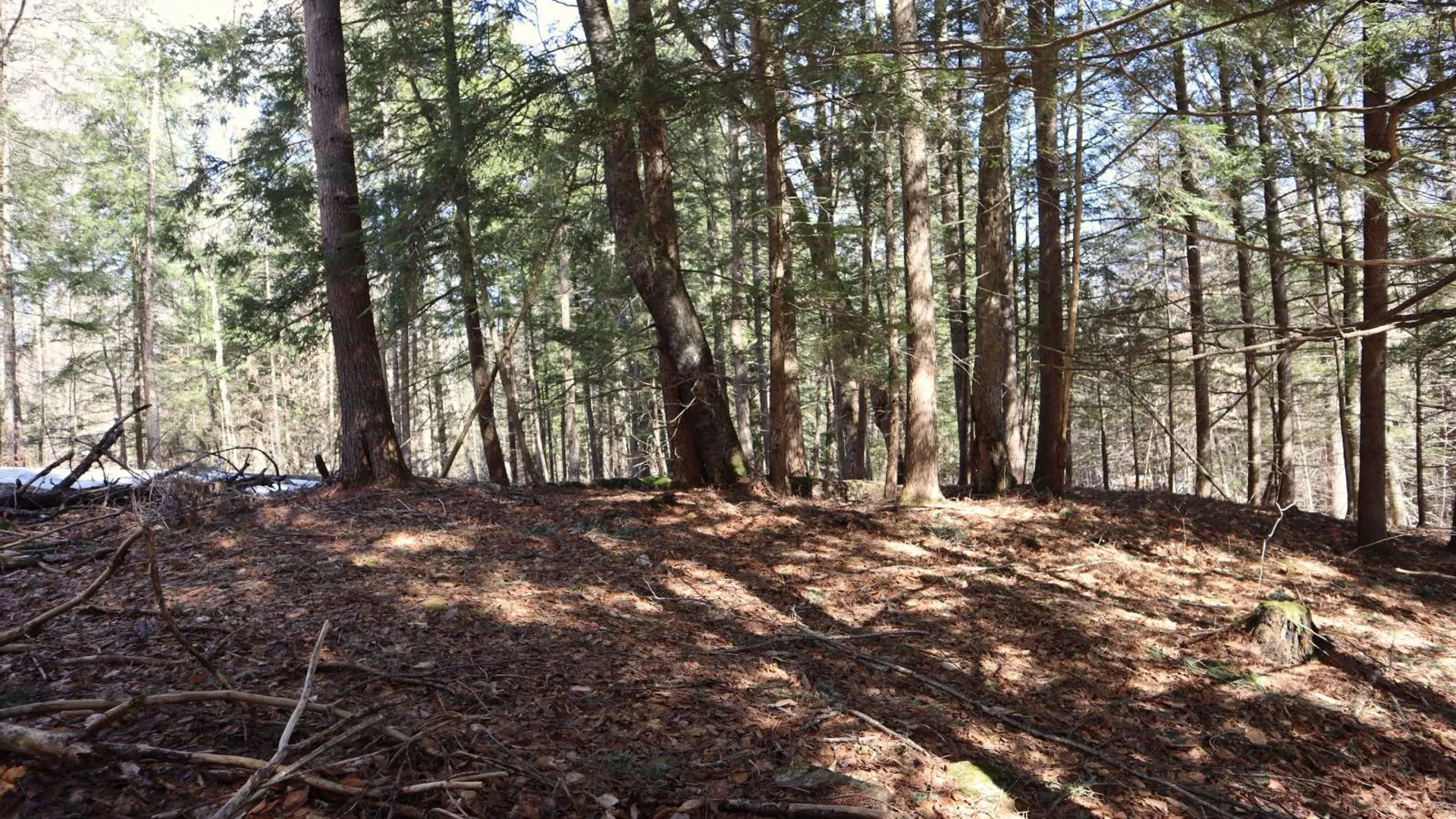 Property at 0 Bear Pond Rd, Thurman, NY 12810 13