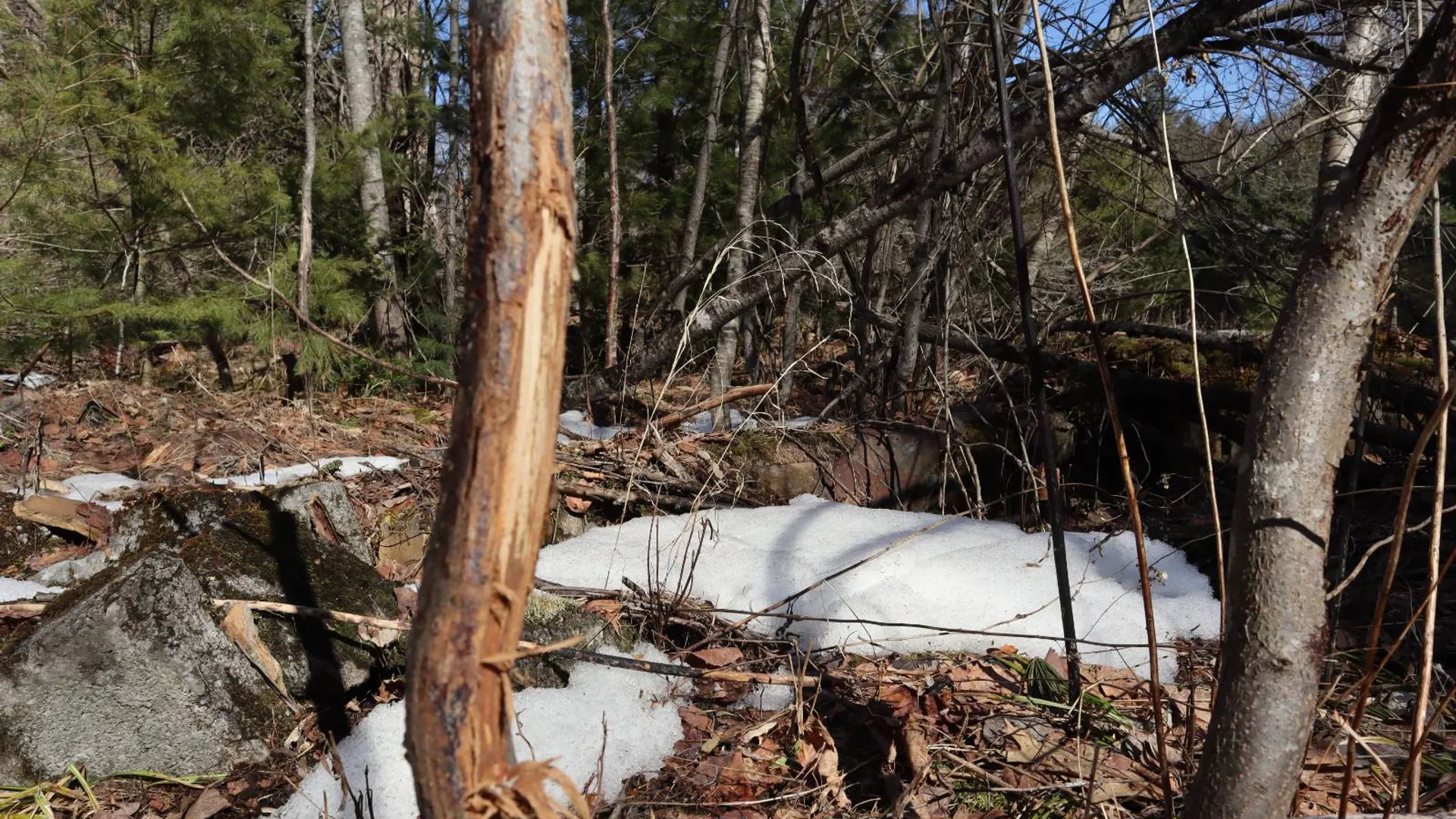 Property at 0 Bear Pond Rd, Thurman, NY 12810 18