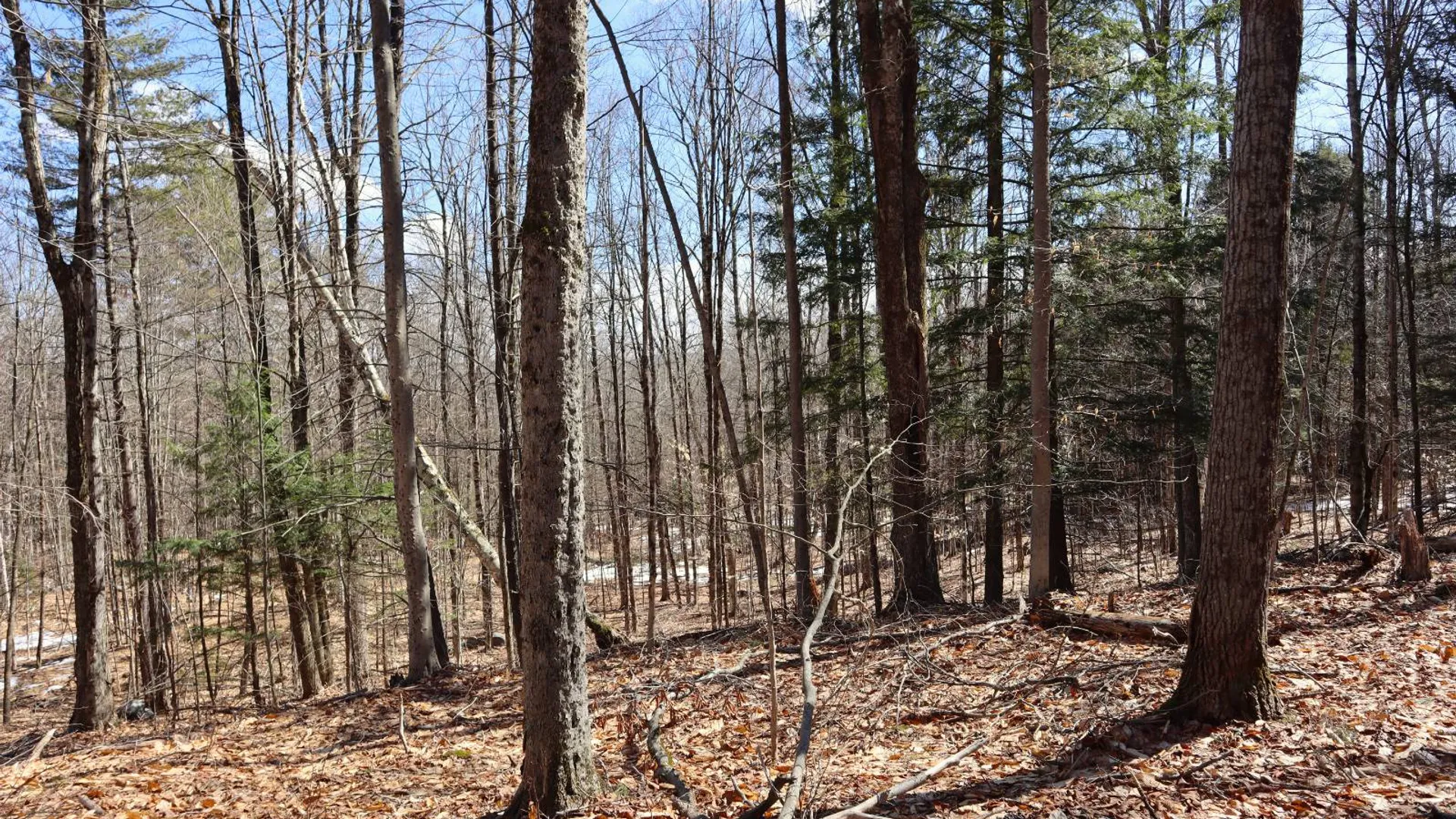 Property at 0 Bear Pond Rd, Thurman, NY 12810 19