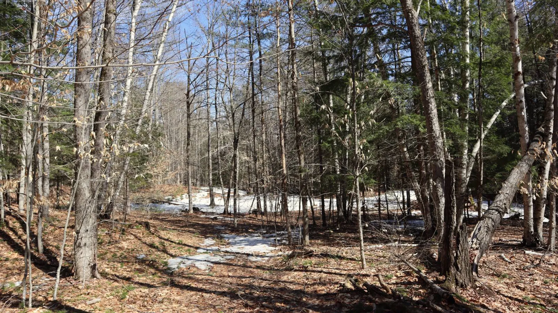 Property at 0 Bear Pond Rd, Thurman, NY 12810 21