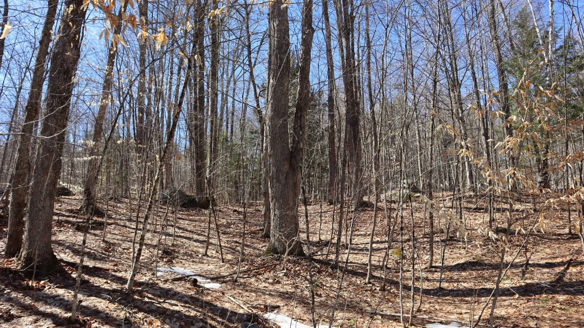 Property at 0 Bear Pond Rd, Thurman, NY 12810 22
