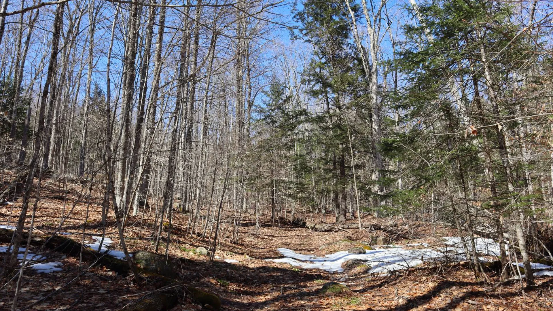 Property at 0 Bear Pond Rd, Thurman, NY 12810 23