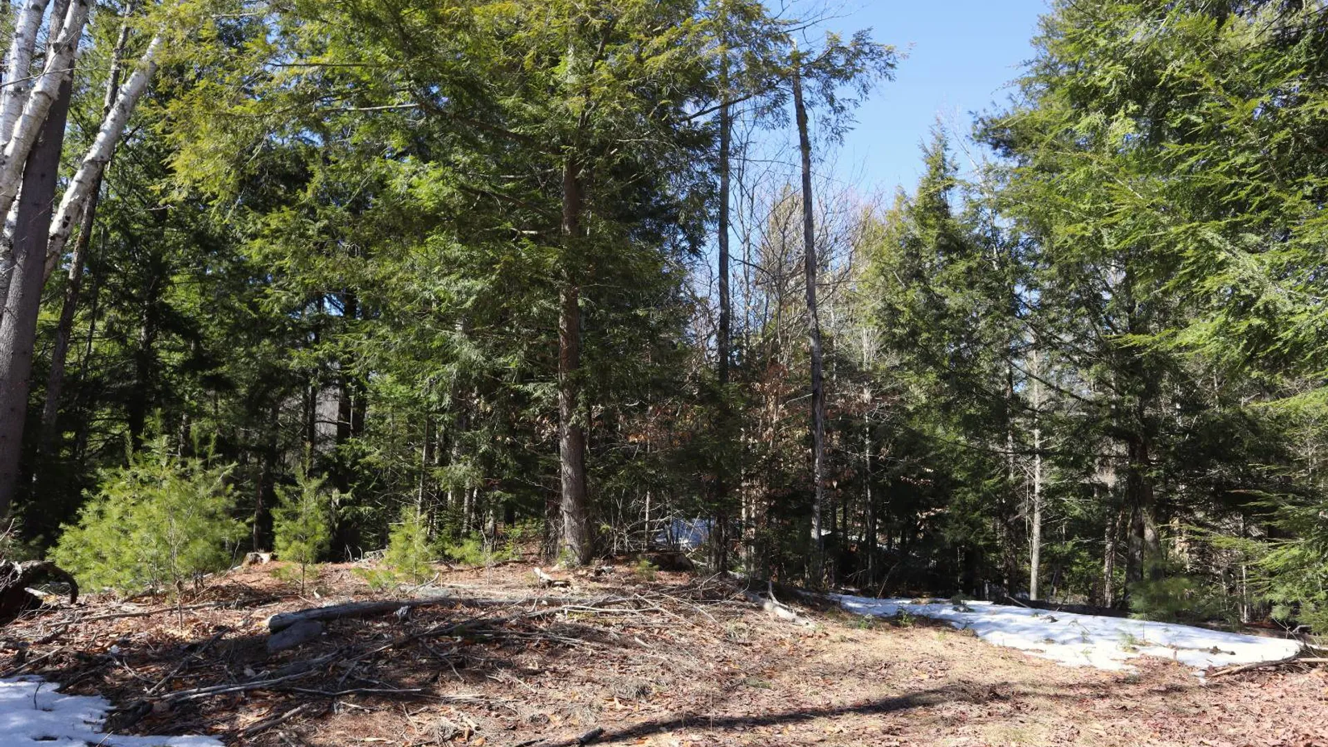 Property at 0 Bear Pond Rd, Thurman, NY 12810 26