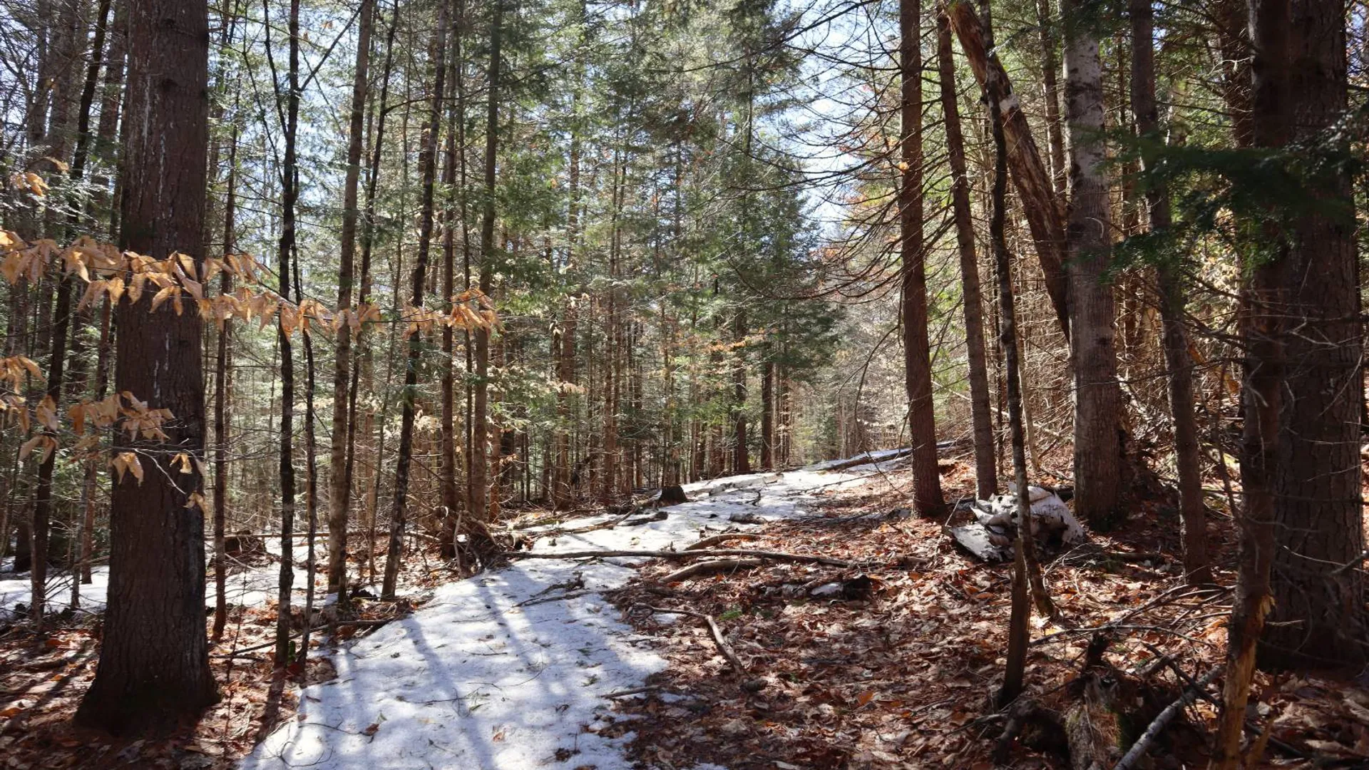 Property at 0 Bear Pond Rd, Thurman, NY 12810 27