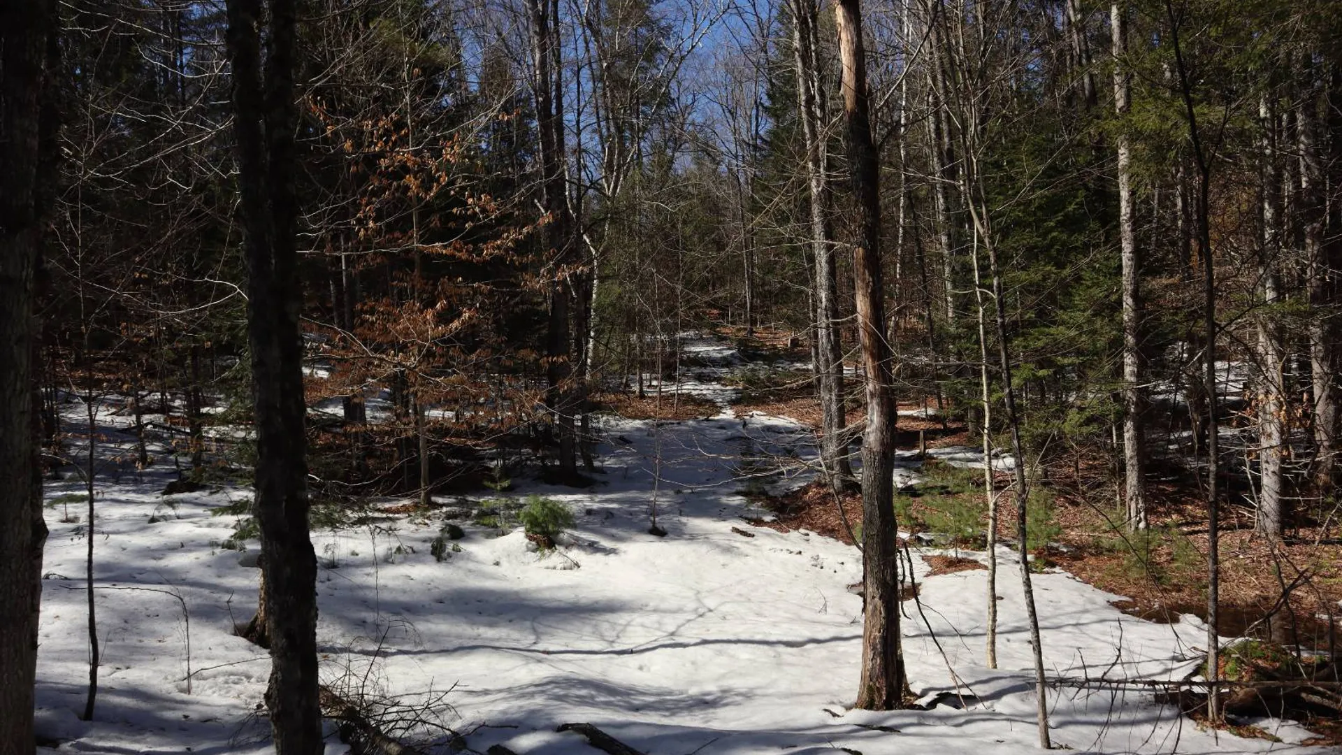Property at 0 Bear Pond Rd, Thurman, NY 12810 28