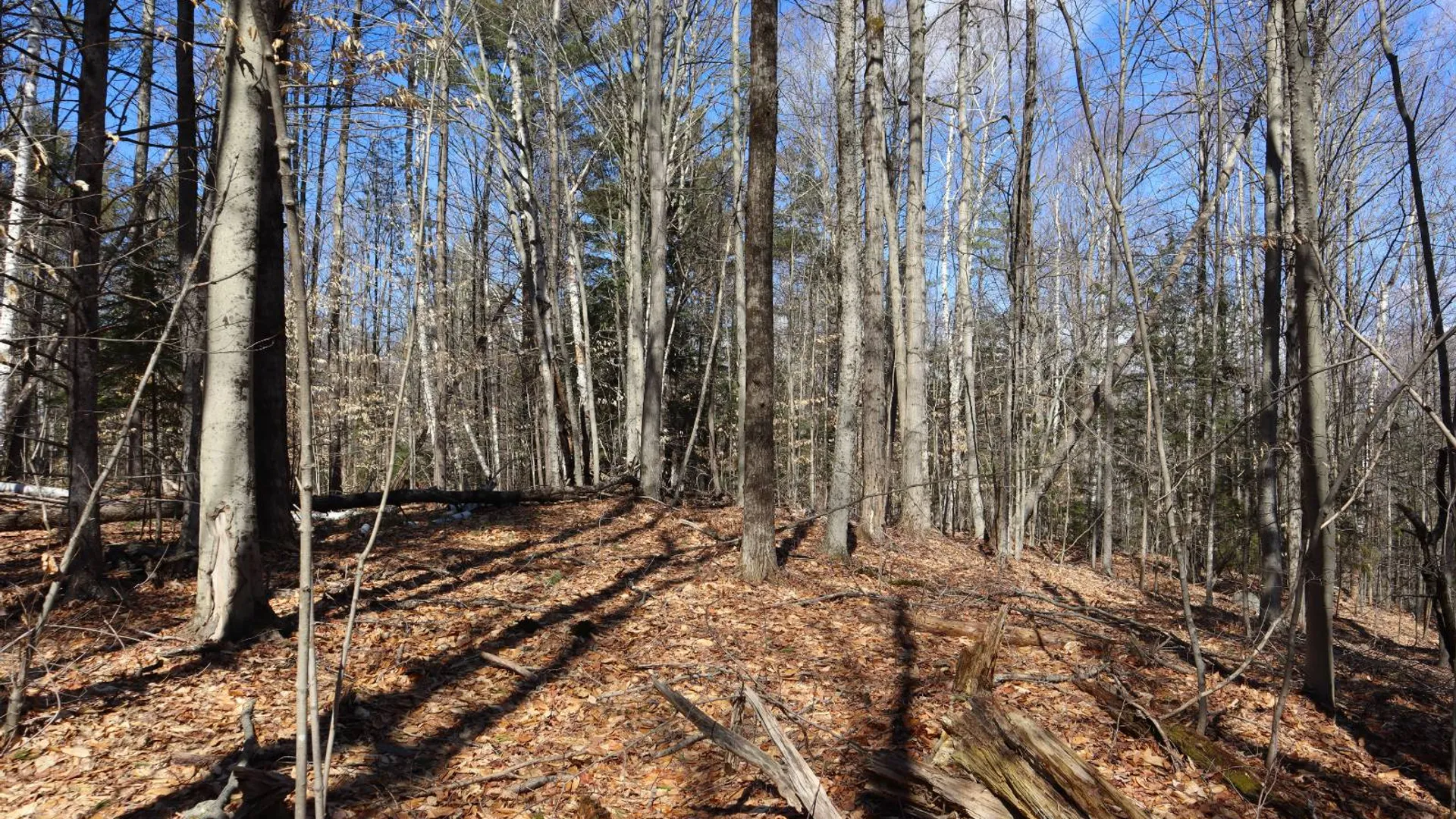 Property at 0 Bear Pond Rd, Thurman, NY 12810 3