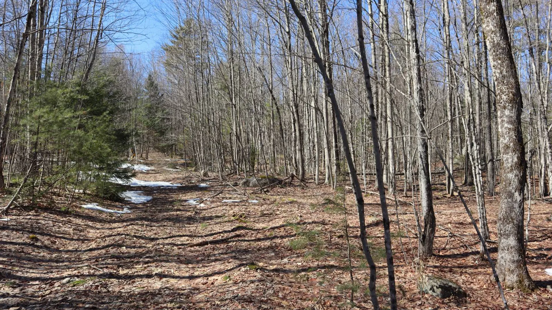 Property at 0 Bear Pond Rd, Thurman, NY 12810 30