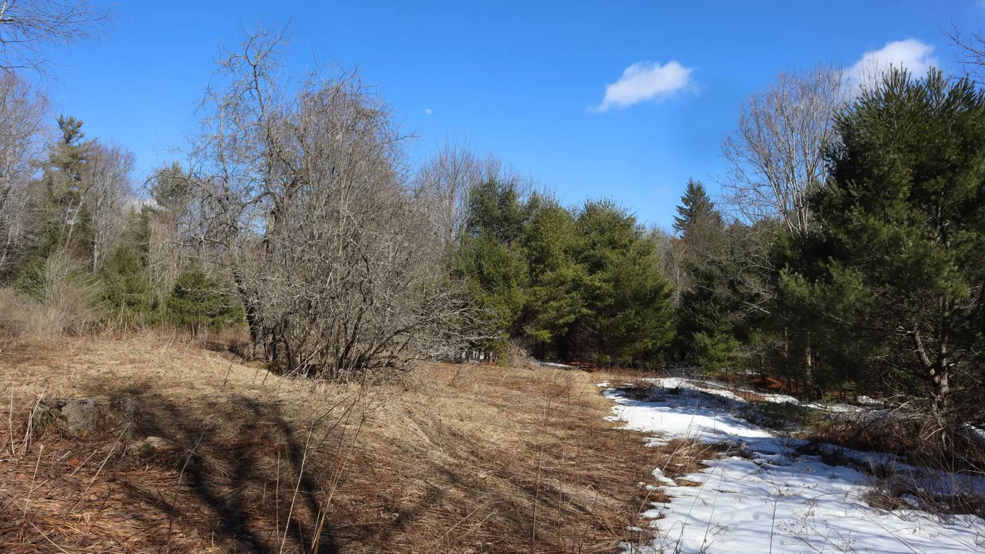 Property at 0 Bear Pond Rd, Thurman, NY 12810 31