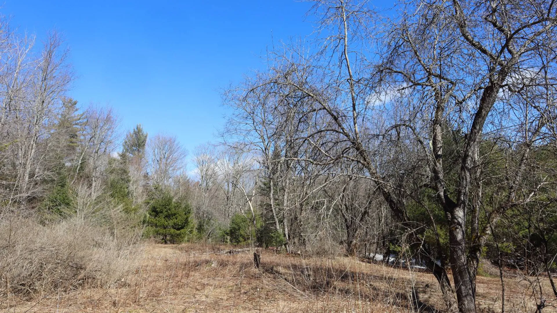 Property at 0 Bear Pond Rd, Thurman, NY 12810 32