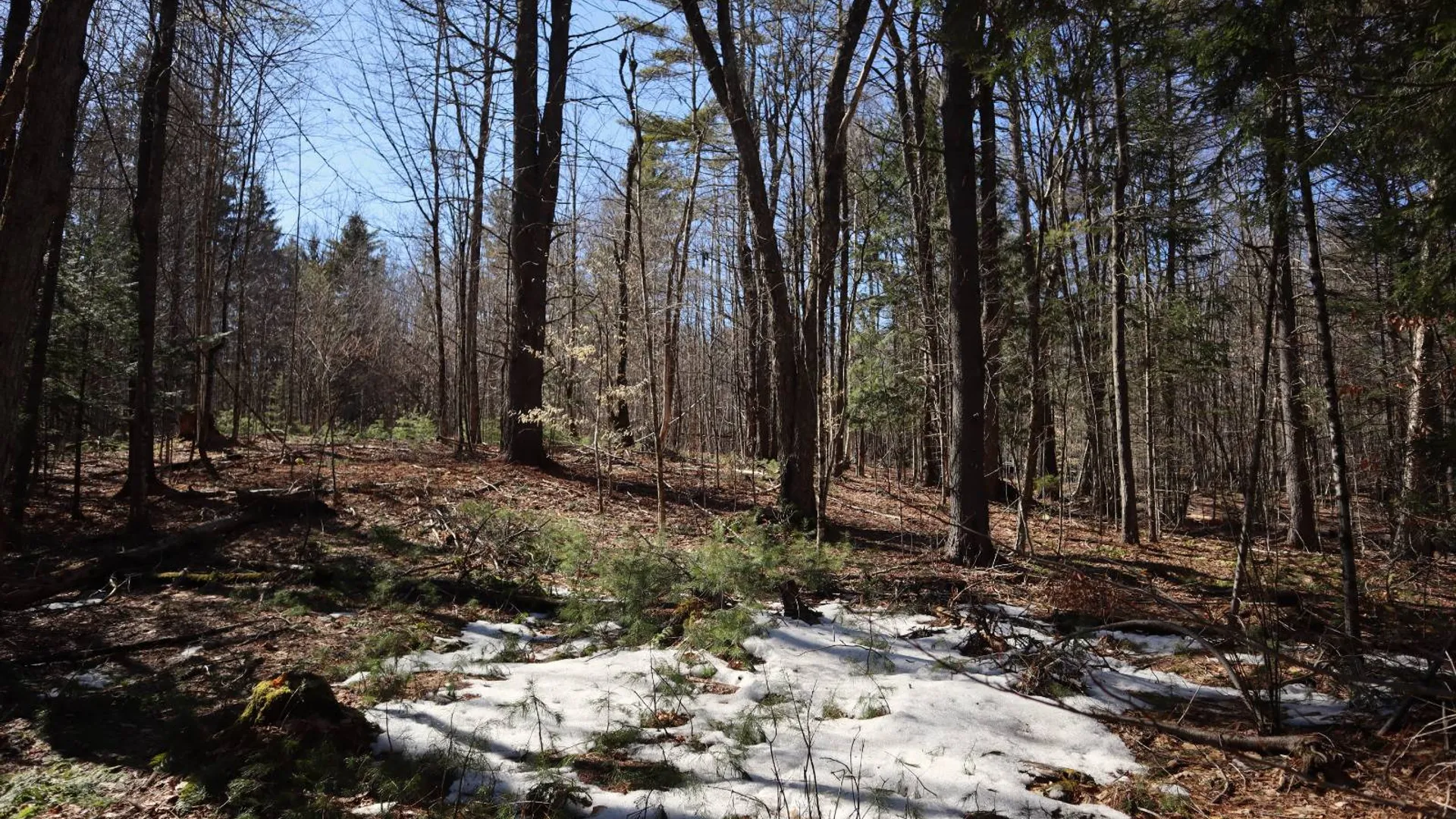 Property at 0 Bear Pond Rd, Thurman, NY 12810 35