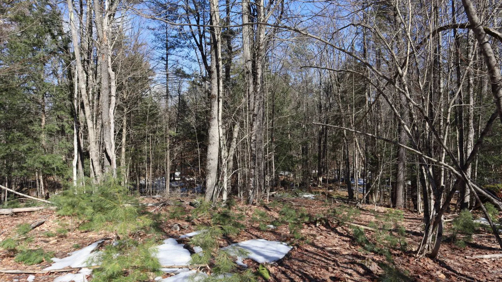 Property at 0 Bear Pond Rd, Thurman, NY 12810 36