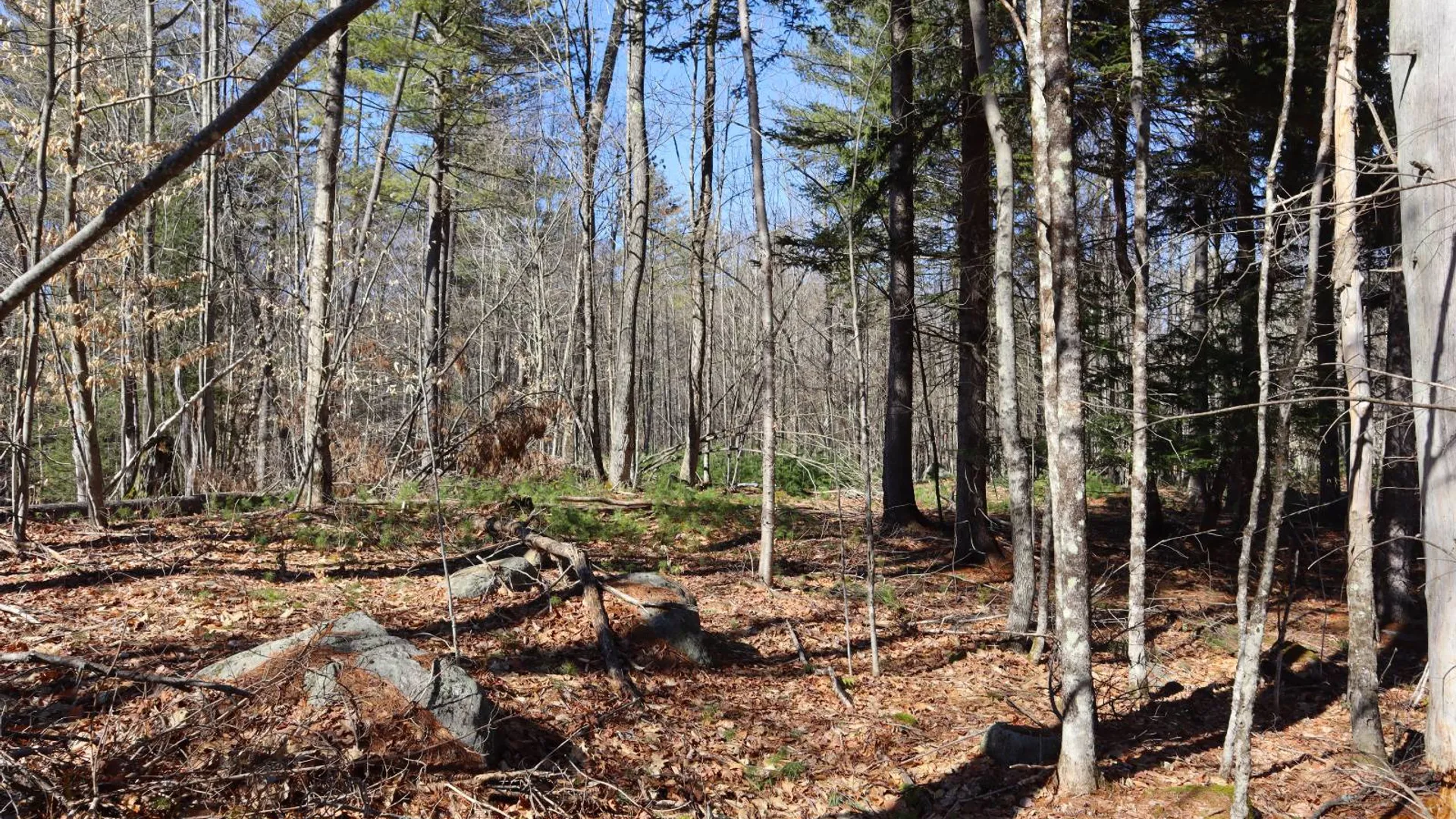 Property at 0 Bear Pond Rd, Thurman, NY 12810 38