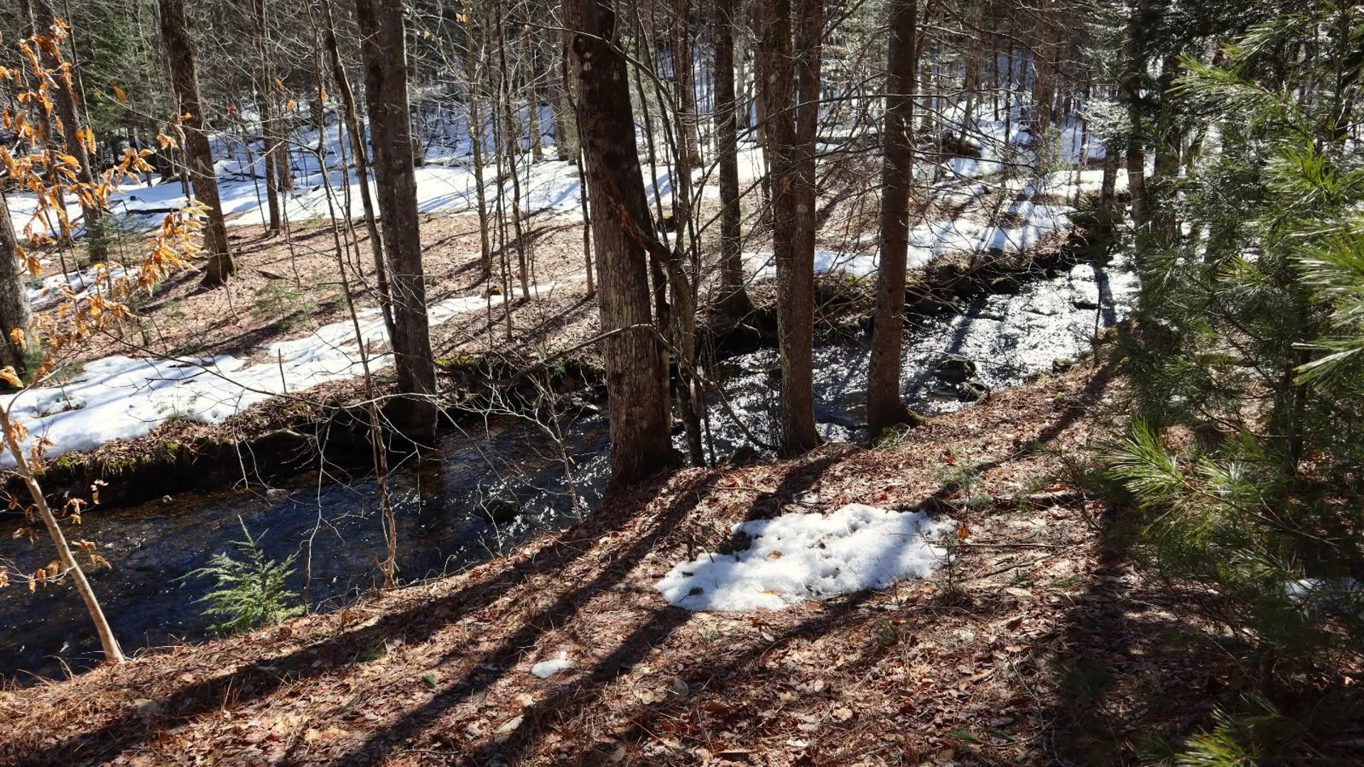 Property at 0 Bear Pond Rd, Thurman, NY 12810 40