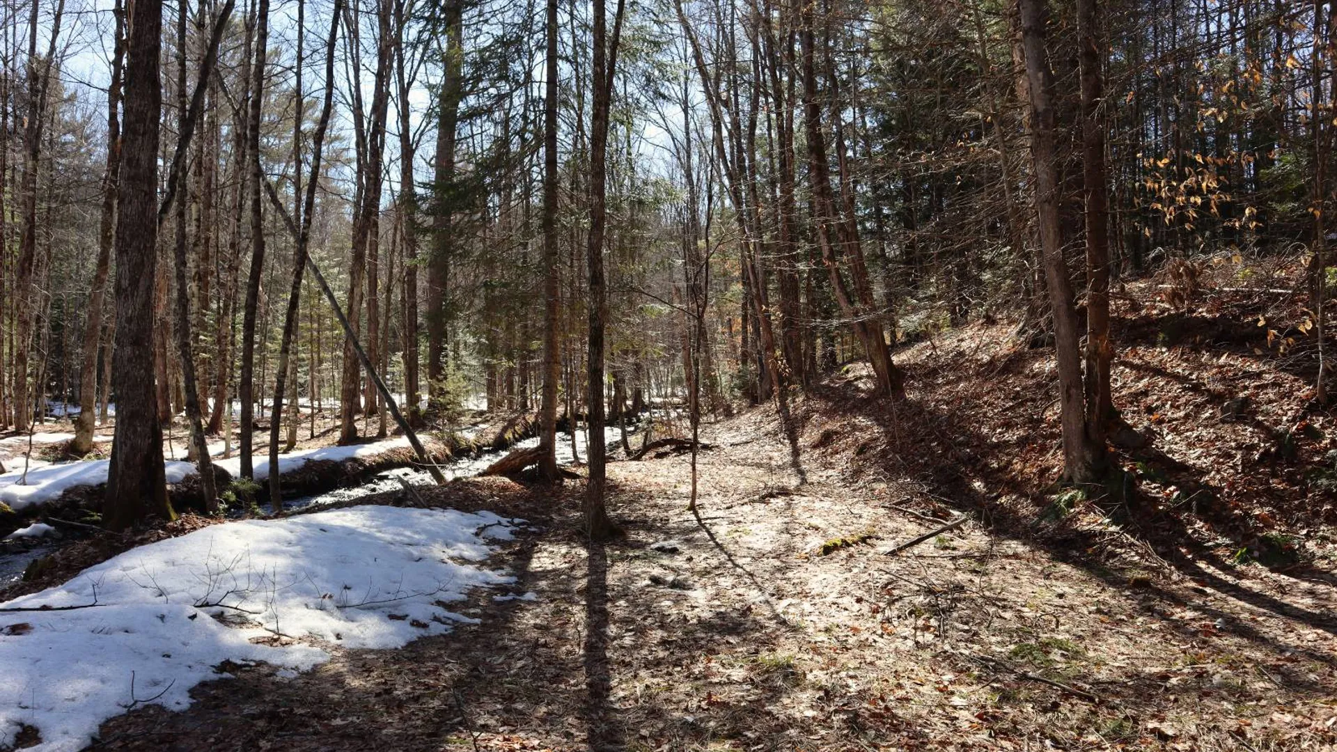 Property at 0 Bear Pond Rd, Thurman, NY 12810 42