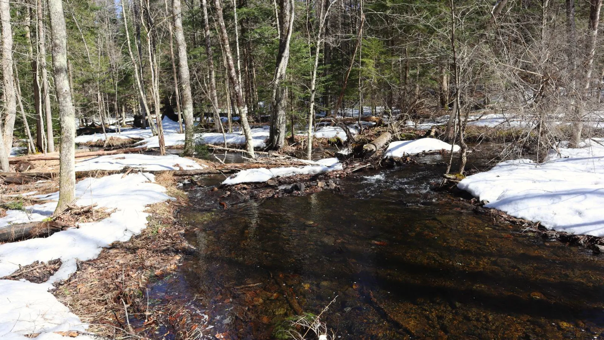 Property at 0 Bear Pond Rd, Thurman, NY 12810 43