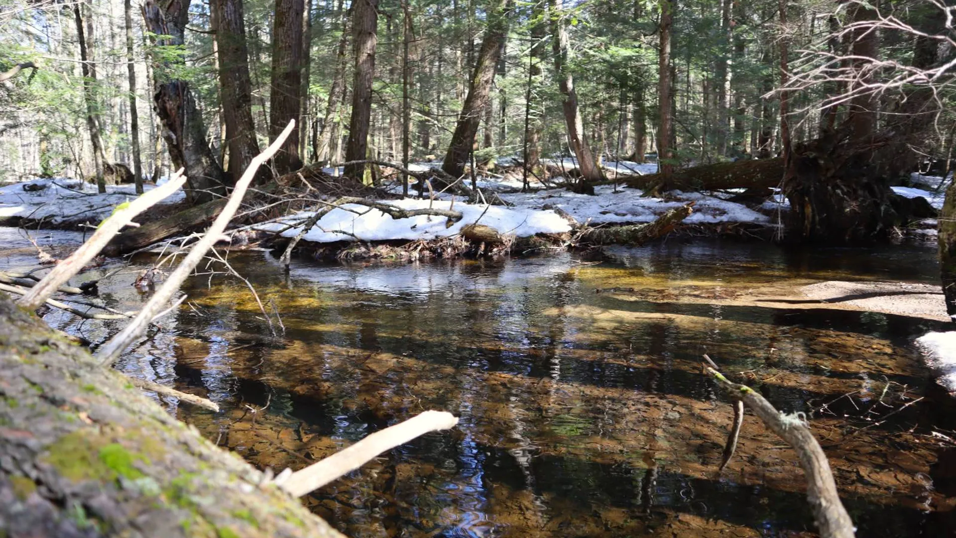 Property at 0 Bear Pond Rd, Thurman, NY 12810 44