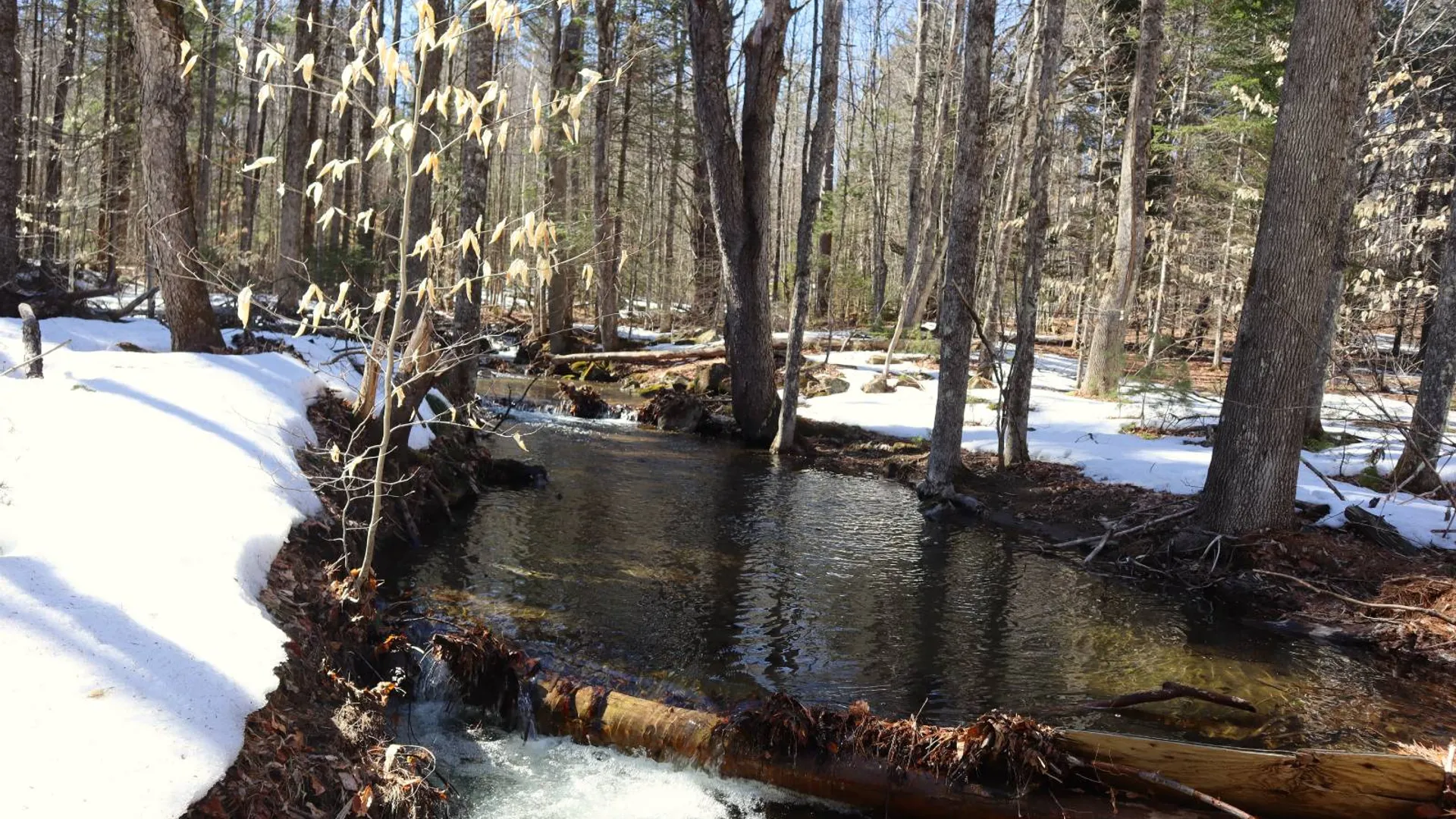 Property at 0 Bear Pond Rd, Thurman, NY 12810 46