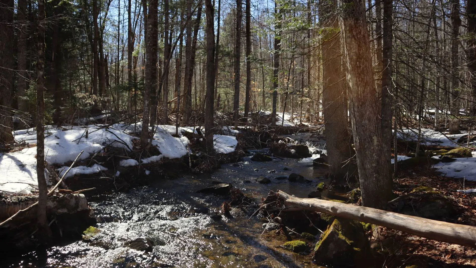 Property at 0 Bear Pond Rd, Thurman, NY 12810 47