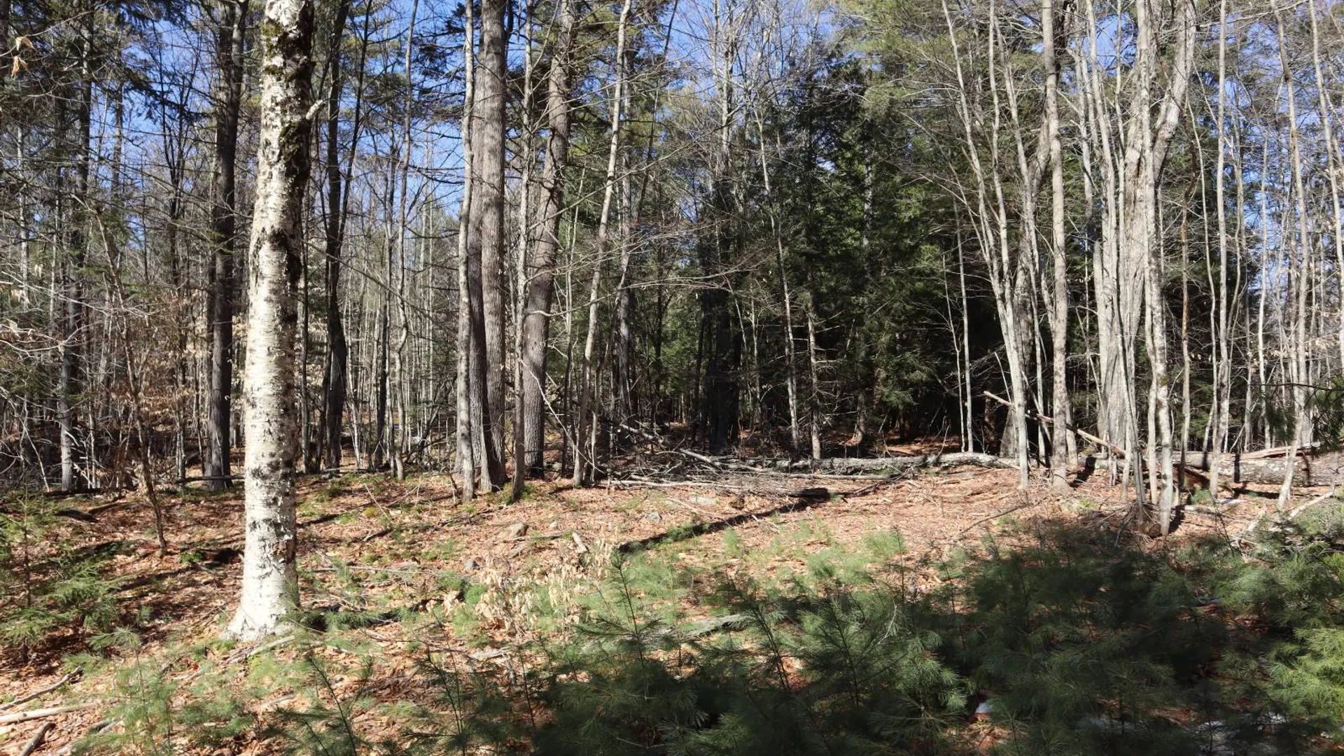 Property at 0 Bear Pond Rd, Thurman, NY 12810 48