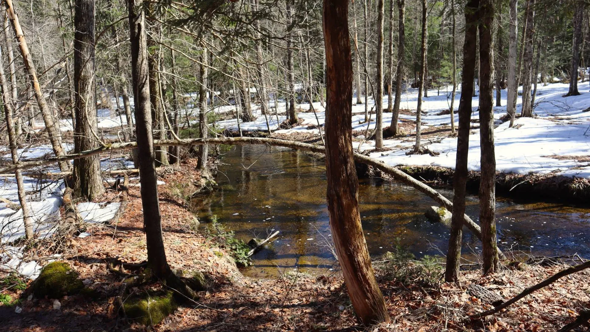 Property at 0 Bear Pond Rd, Thurman, NY 12810 5