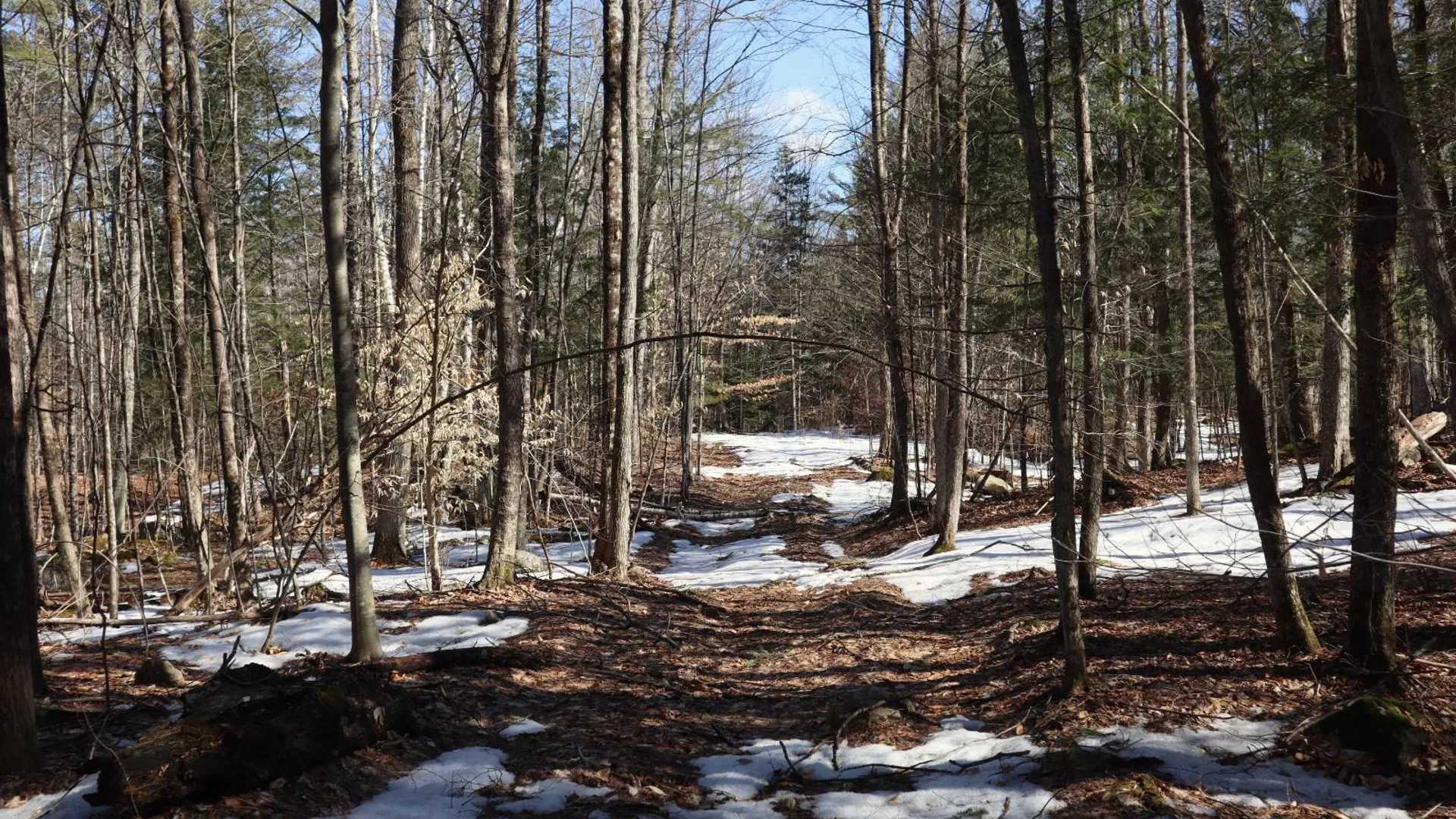 Property at 0 Bear Pond Rd, Thurman, NY 12810 50