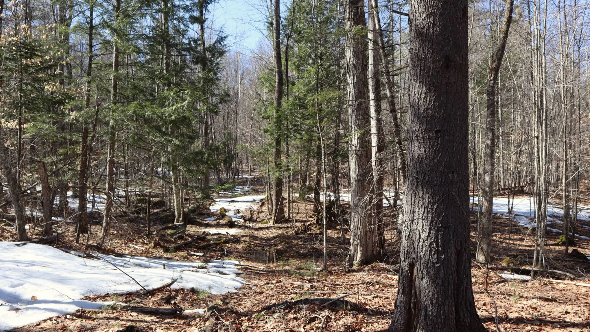 Property at 0 Bear Pond Rd, Thurman, NY 12810 51