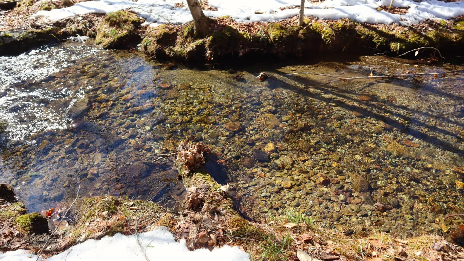 Property at 0 Bear Pond Rd, Thurman, NY 12810 53